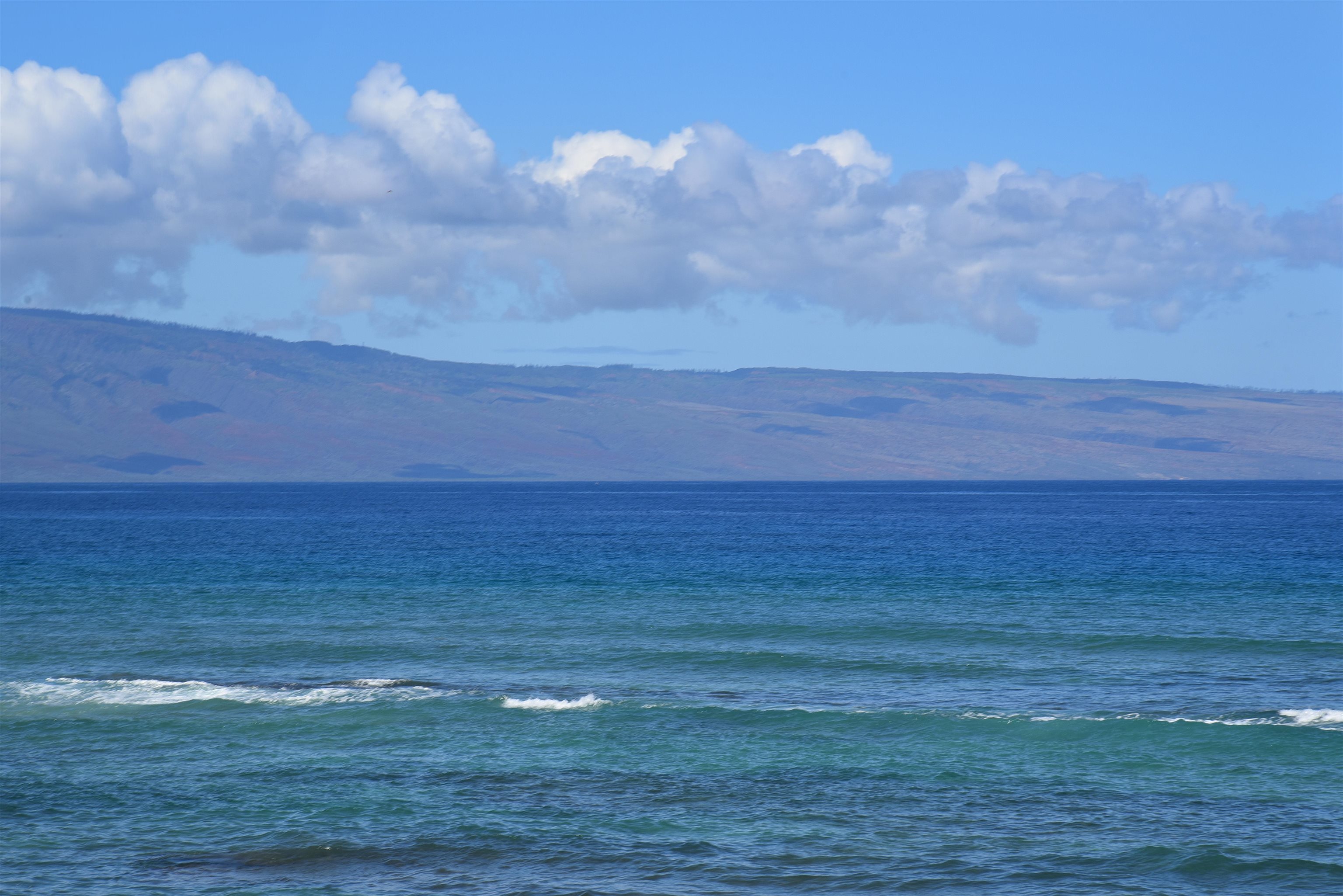 Hale Mahina condo # A-205, Lahaina, Hawaii - photo 29 of 48