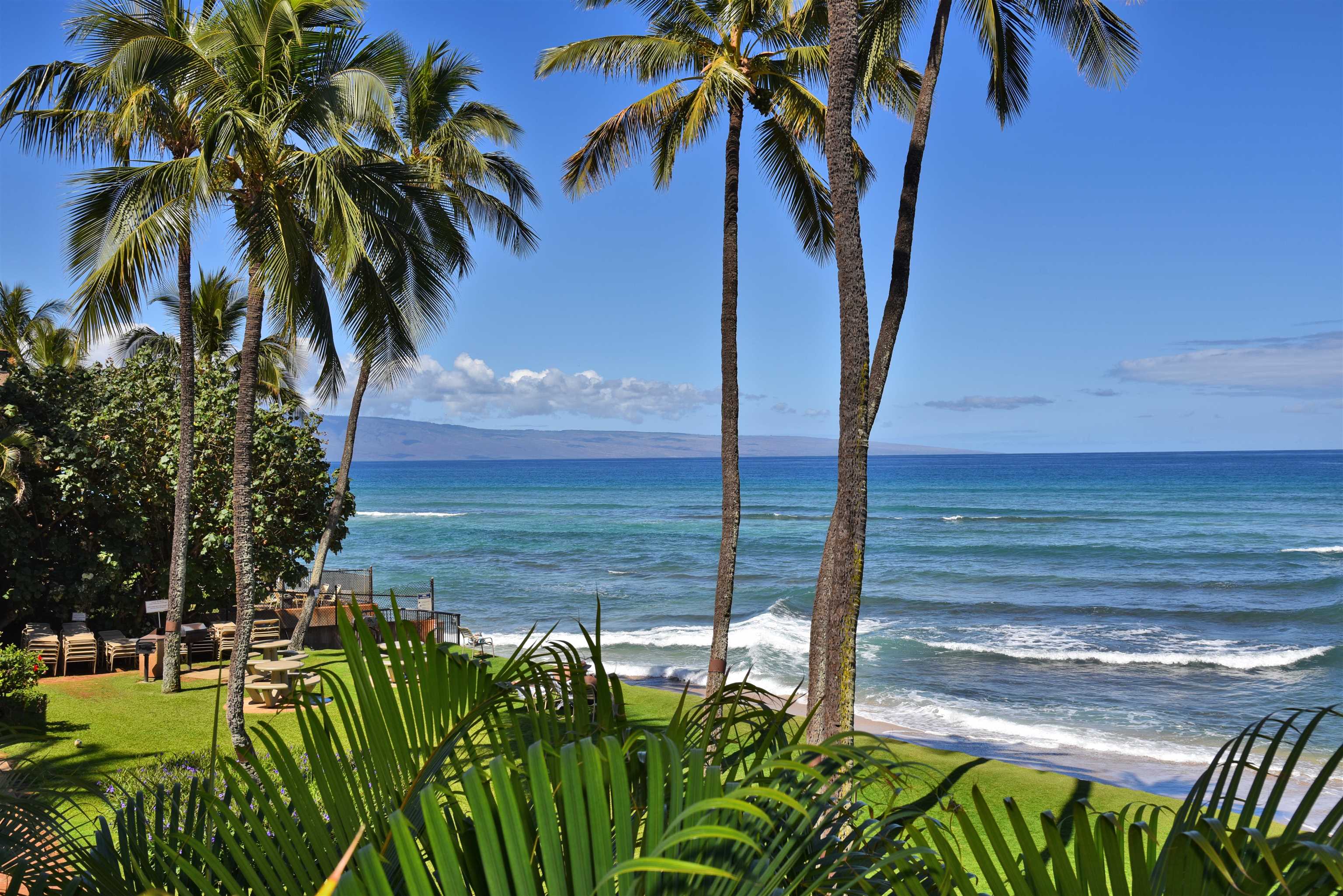 Hale Mahina condo # A-205, Lahaina, Hawaii - photo 31 of 48