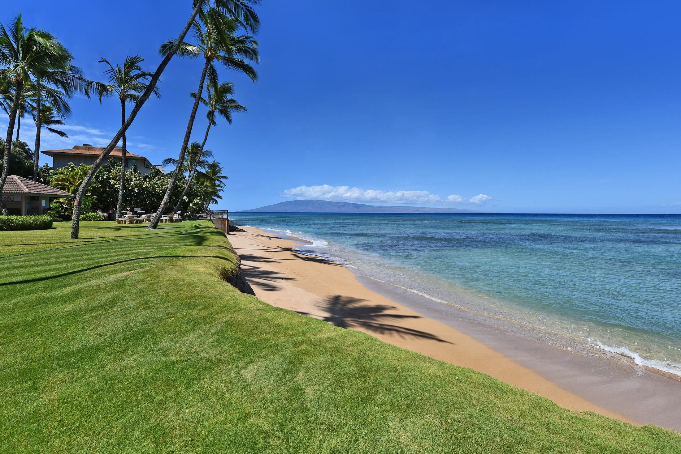 Hale Mahina condo # A-205, Lahaina, Hawaii - photo 38 of 48