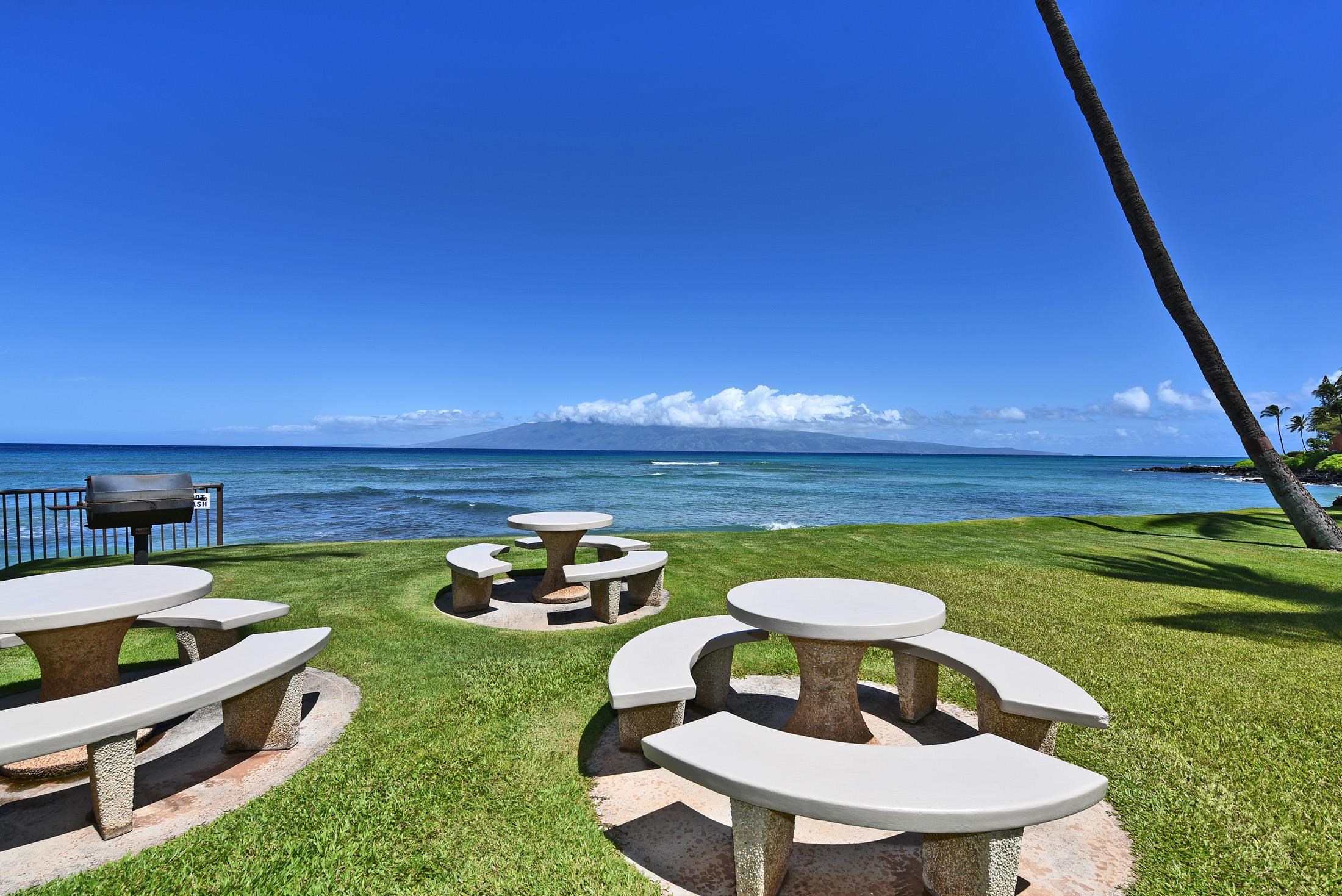 Hale Mahina condo # A-205, Lahaina, Hawaii - photo 43 of 48