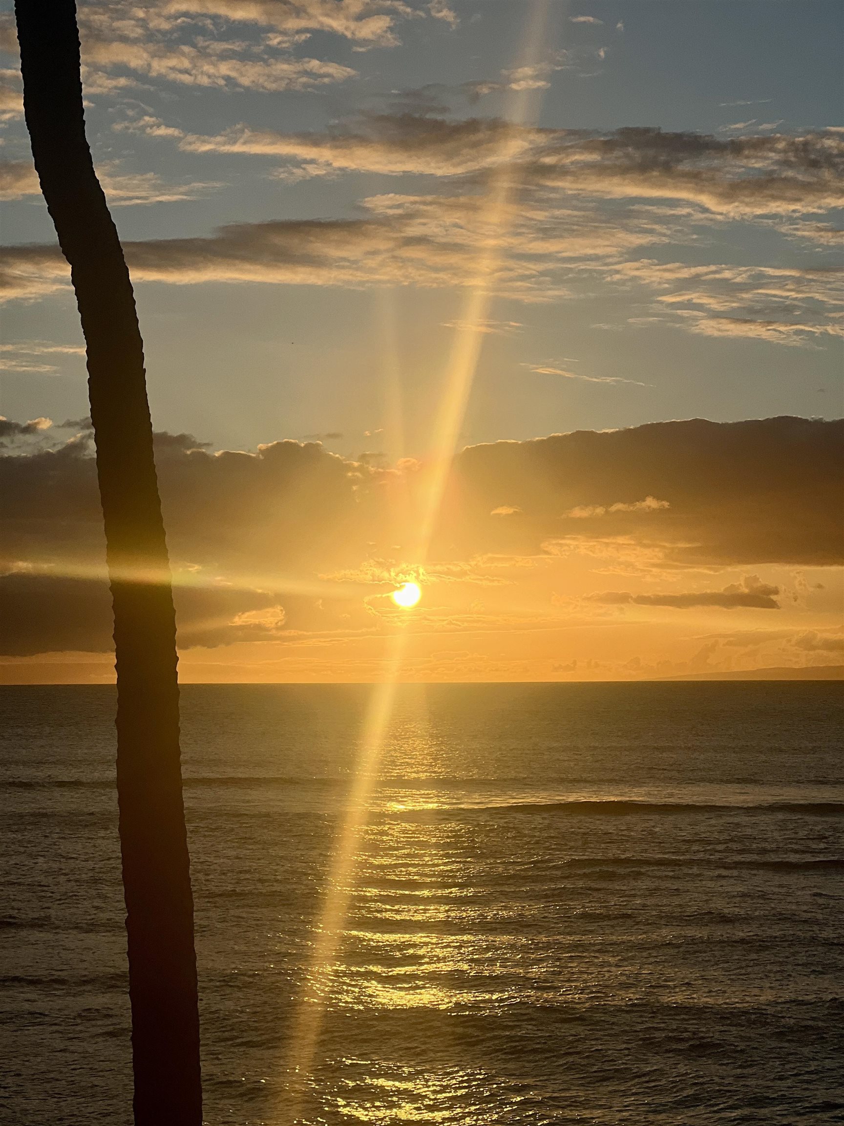 Hale Mahina condo # A-205, Lahaina, Hawaii - photo 48 of 48