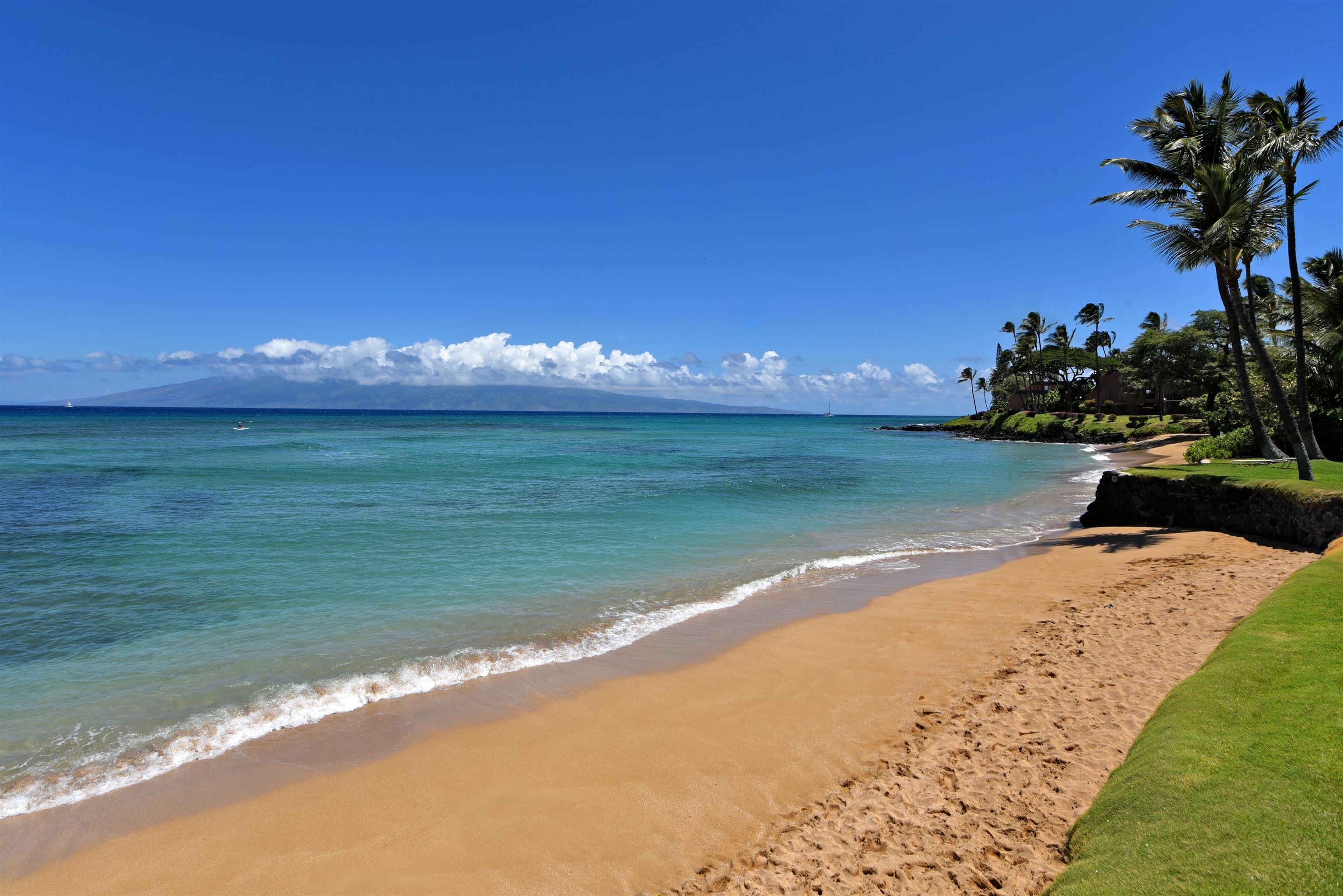 Hale Mahina condo # A-205, Lahaina, Hawaii - photo 7 of 48