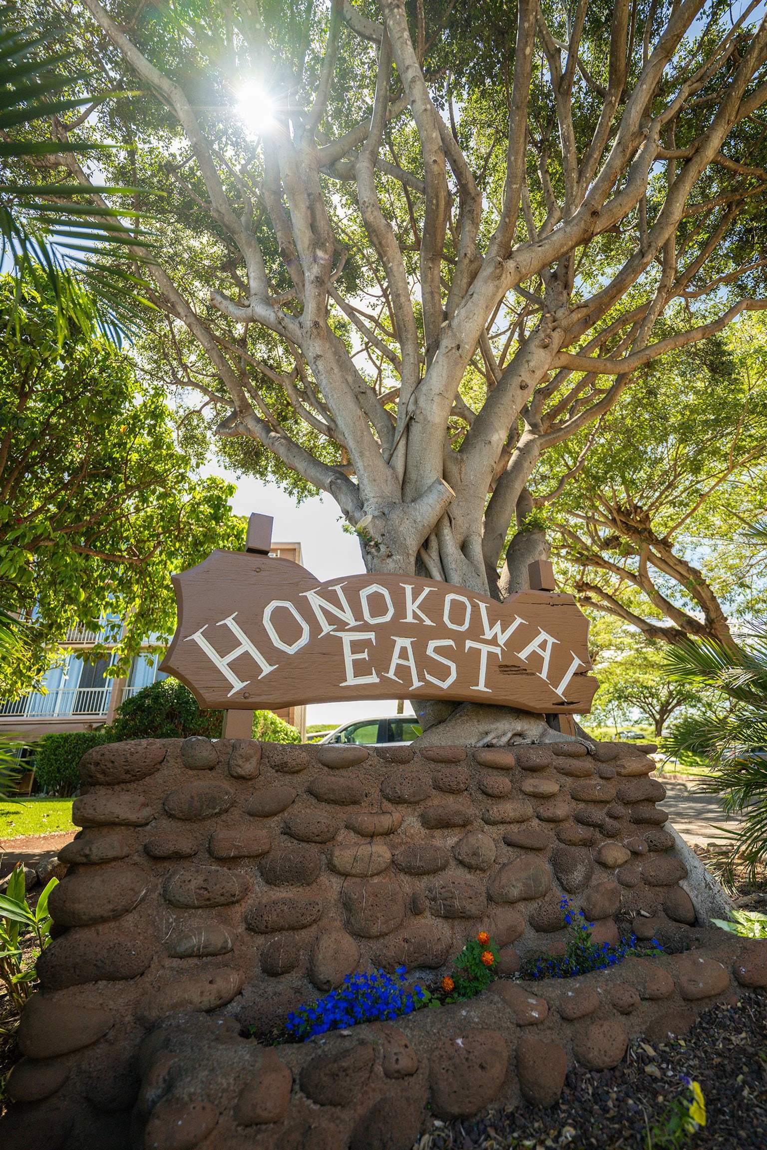 Hale Mahina condo # A207, Lahaina, Hawaii - photo 2 of 20