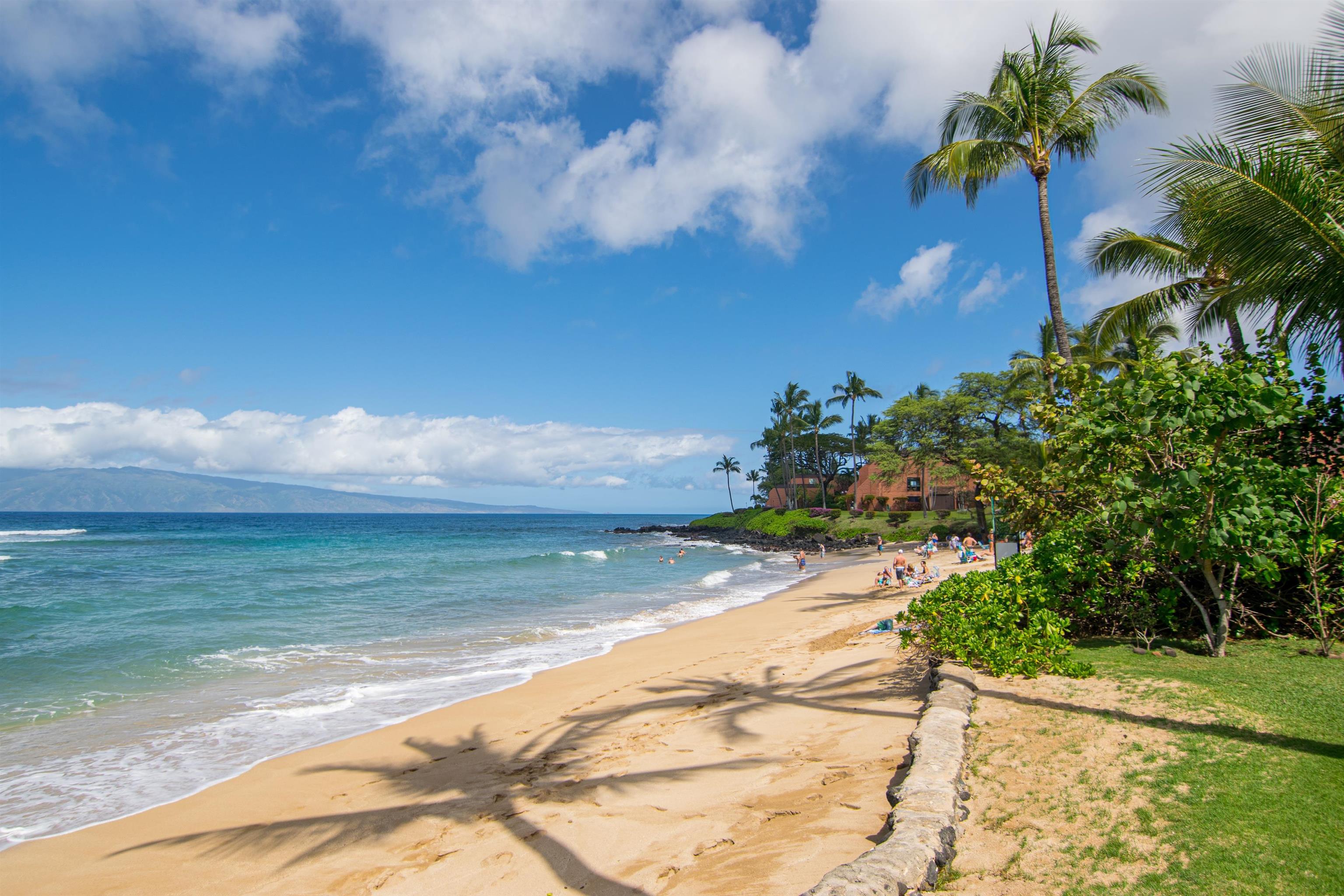 Hale Mahina condo # B204, Lahaina, Hawaii - photo 39 of 40