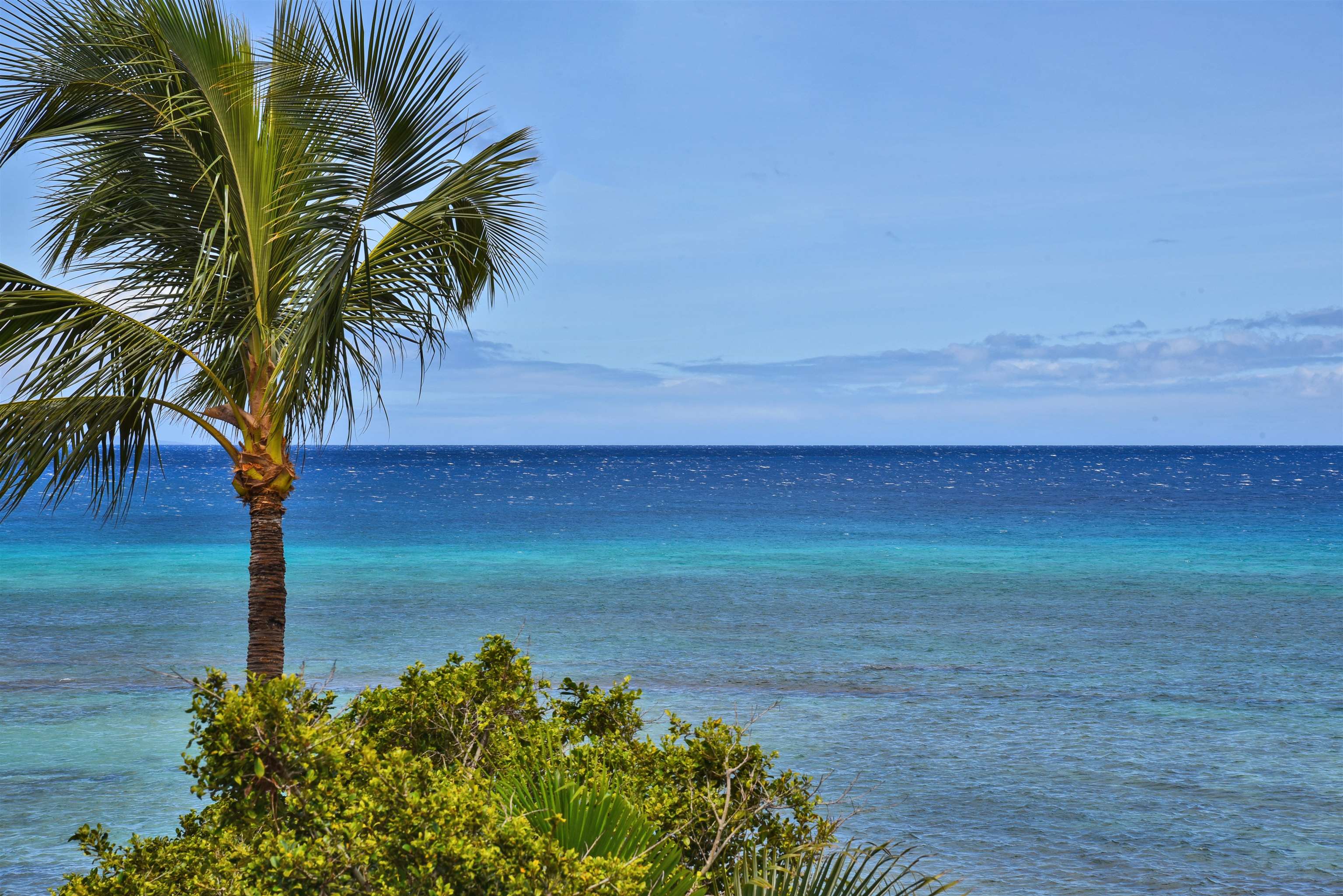 Hale Mahina condo # B-306, Lahaina, Hawaii - photo 37 of 50