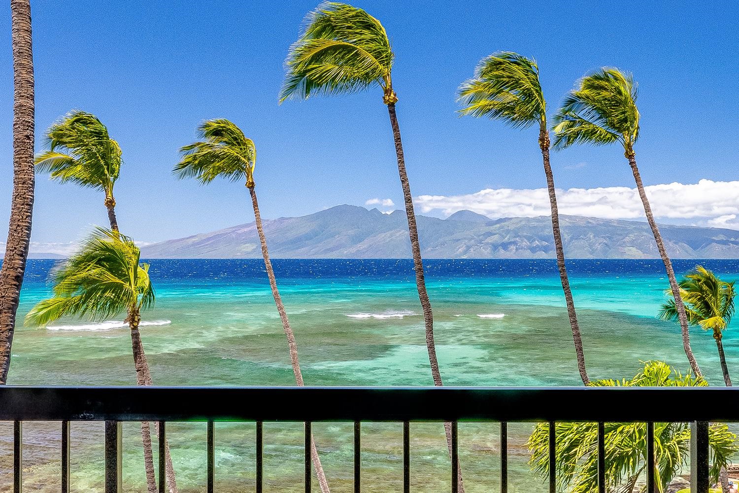 Hale Mahina condo # B402, Lahaina, Hawaii - photo 3 of 50