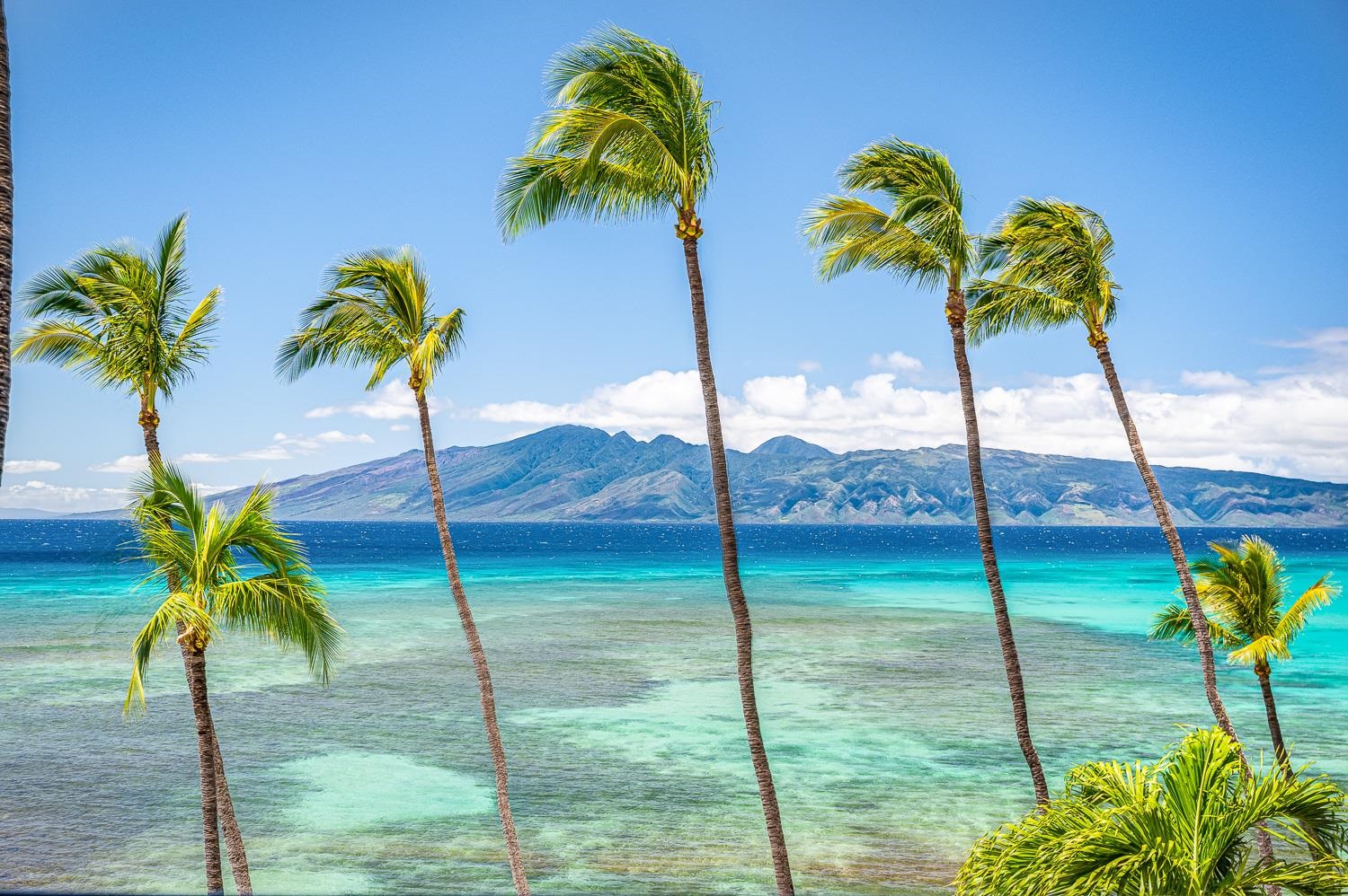 Hale Mahina condo # B402, Lahaina, Hawaii - photo 50 of 50