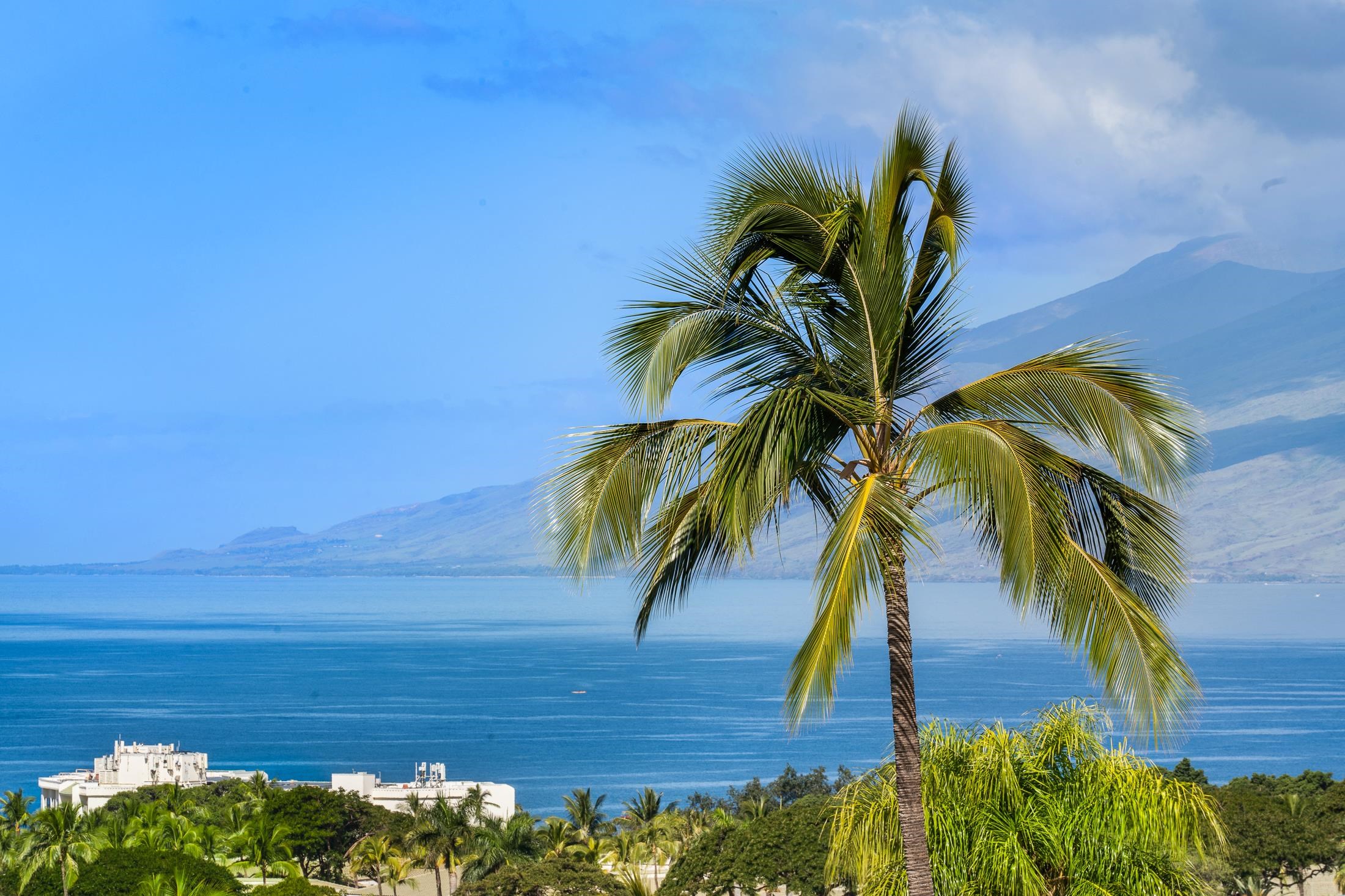 3878  Wailea Ekolu Pl Wailea, Wailea/Makena home - photo 18 of 50