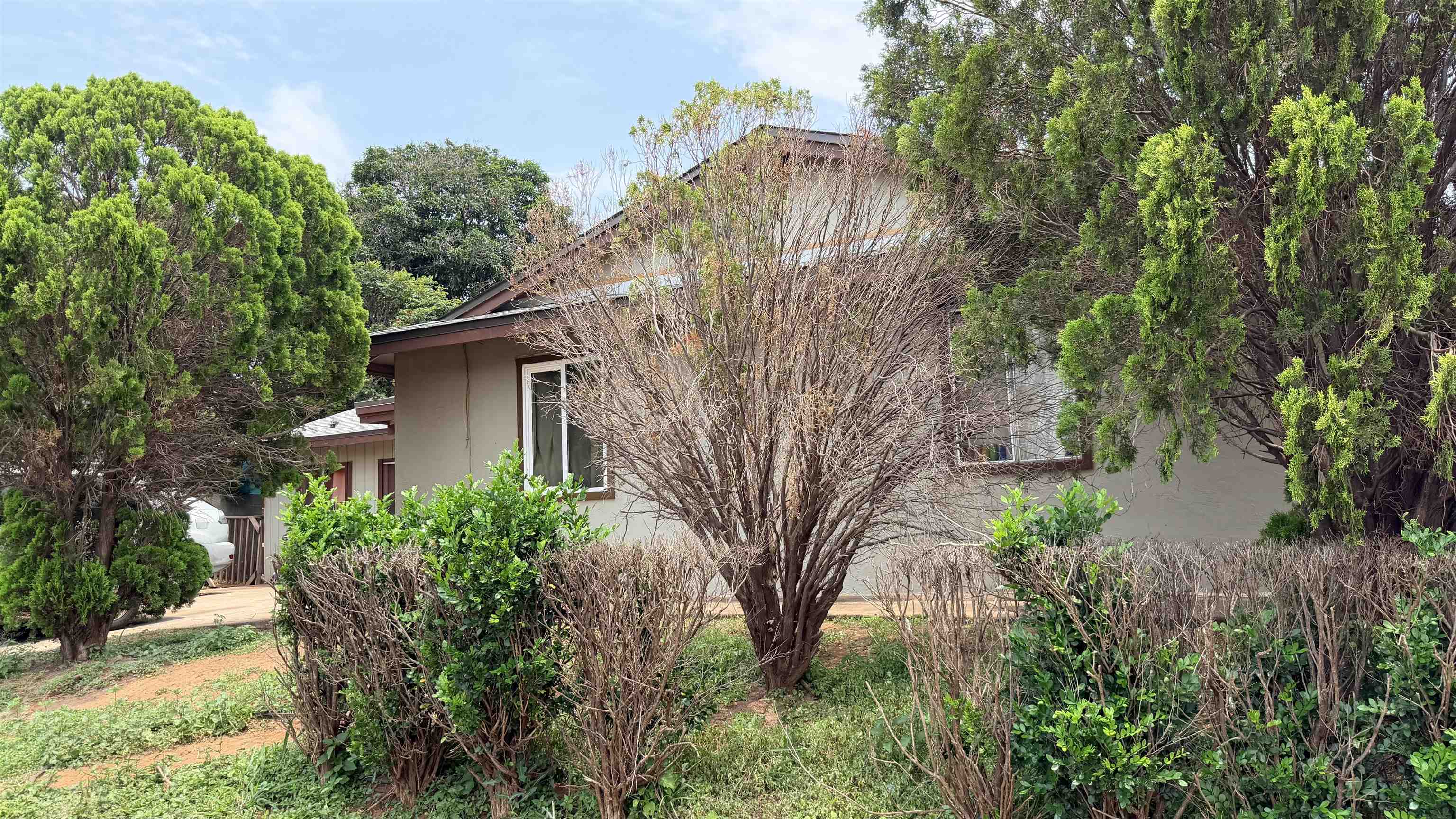388  Kinaole Cir , Kihei home - photo 3 of 21