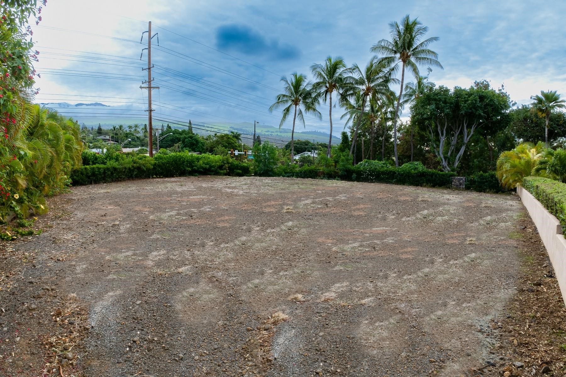 389 Kualono Pl  Kihei, Hi vacant land for sale - photo 5 of 13