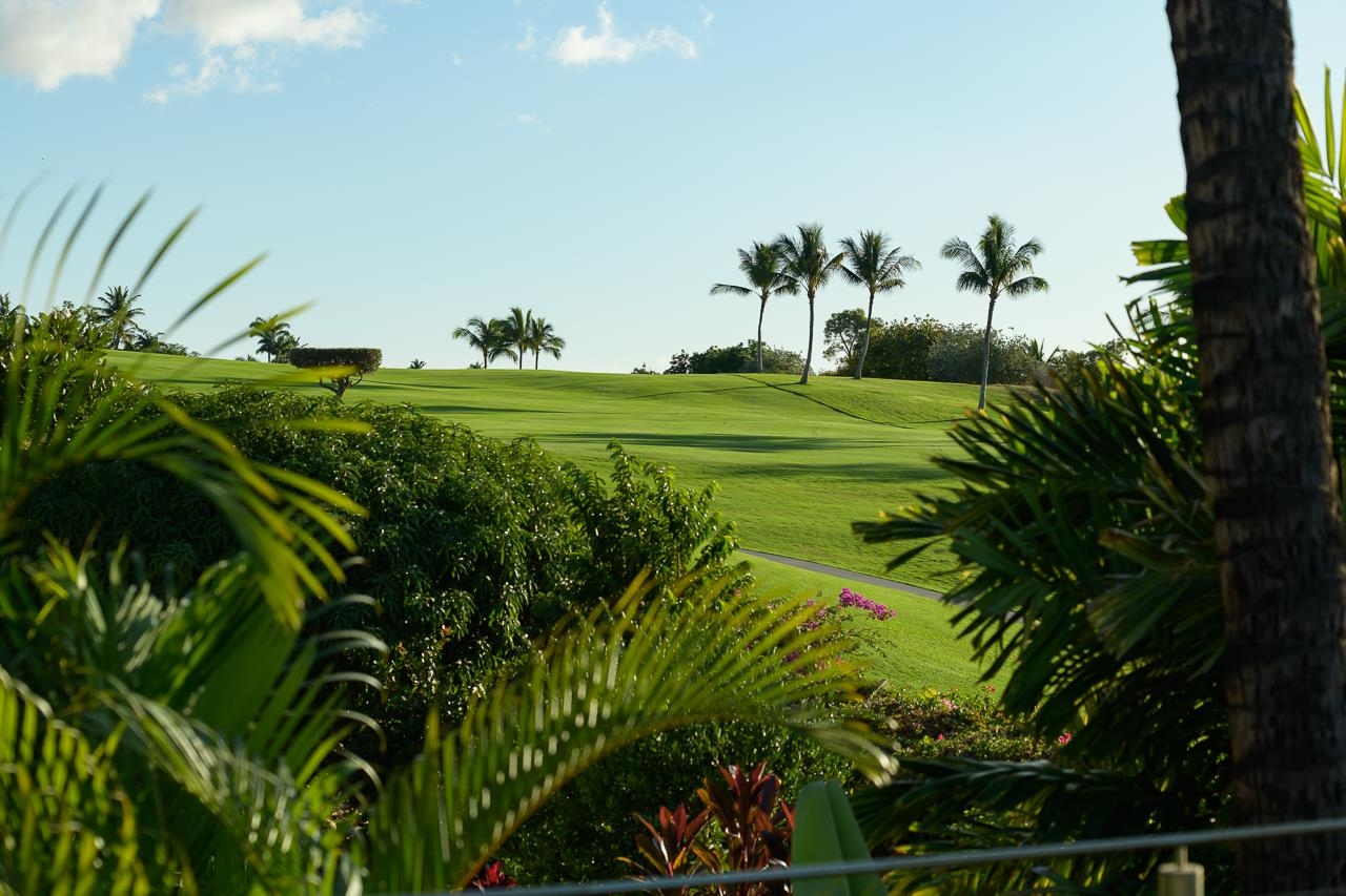 3898  Waakaula Pl Wailea, Wailea/Makena home - photo 11 of 50