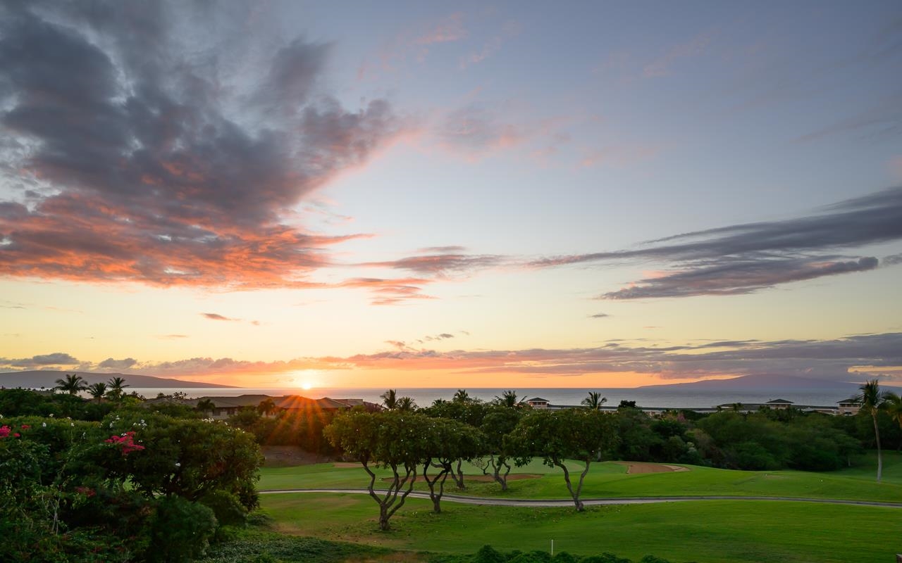 3898  Waakaula Pl Wailea, Wailea/Makena home - photo 48 of 50