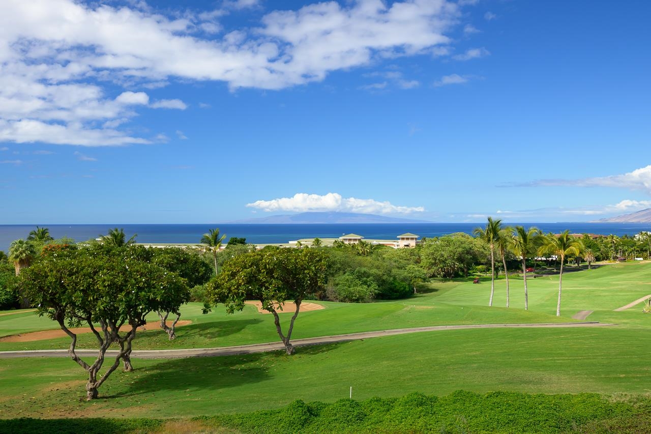 3898  Waakaula Pl Wailea, Wailea/Makena home - photo 9 of 50