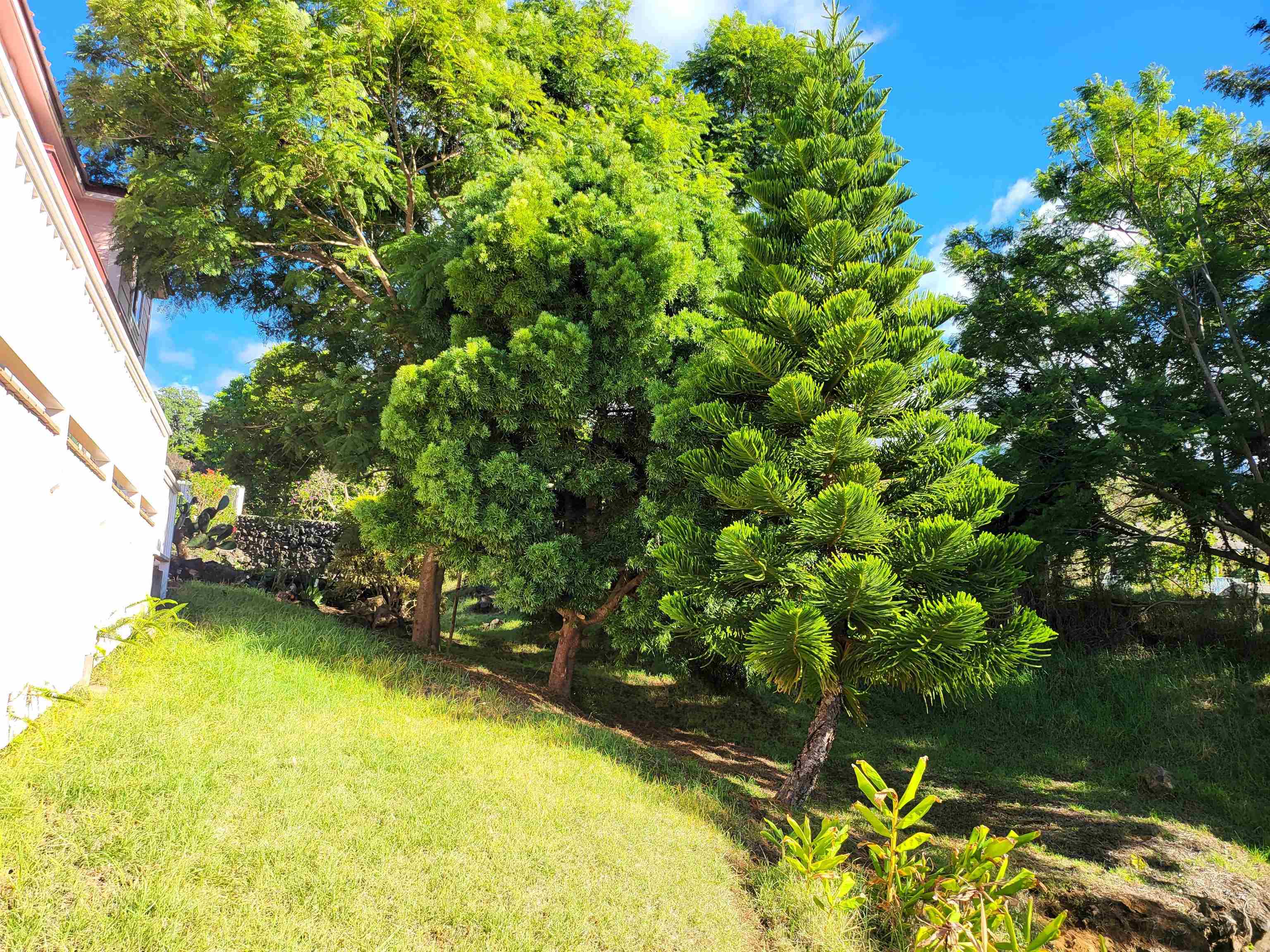 39  Kamila St , Kula/Ulupalakua/Kanaio home - photo 11 of 13