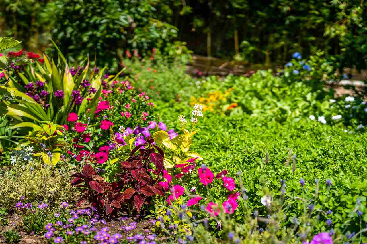 39  KUAPAPA Pl , Kihei home - photo 28 of 30
