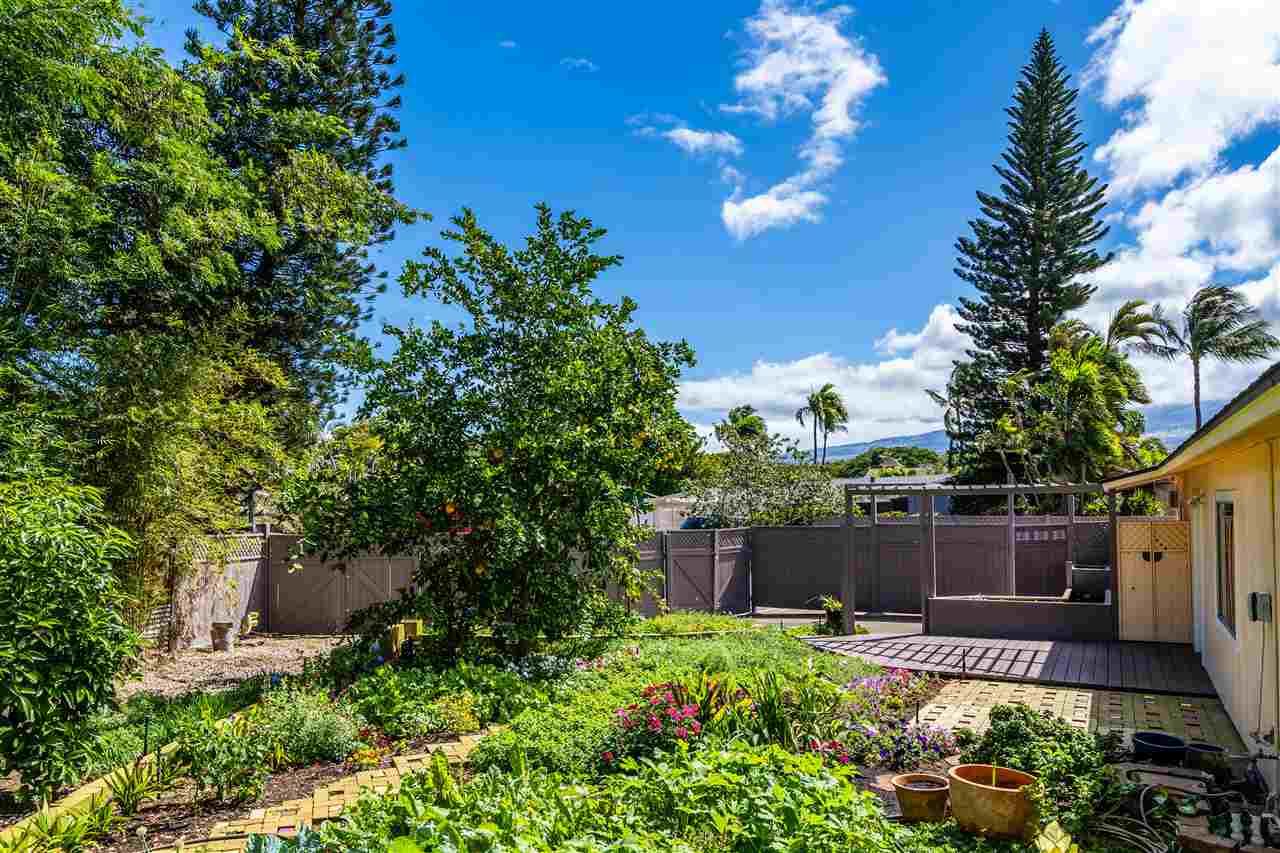 39  KUAPAPA Pl , Kihei home - photo 29 of 30