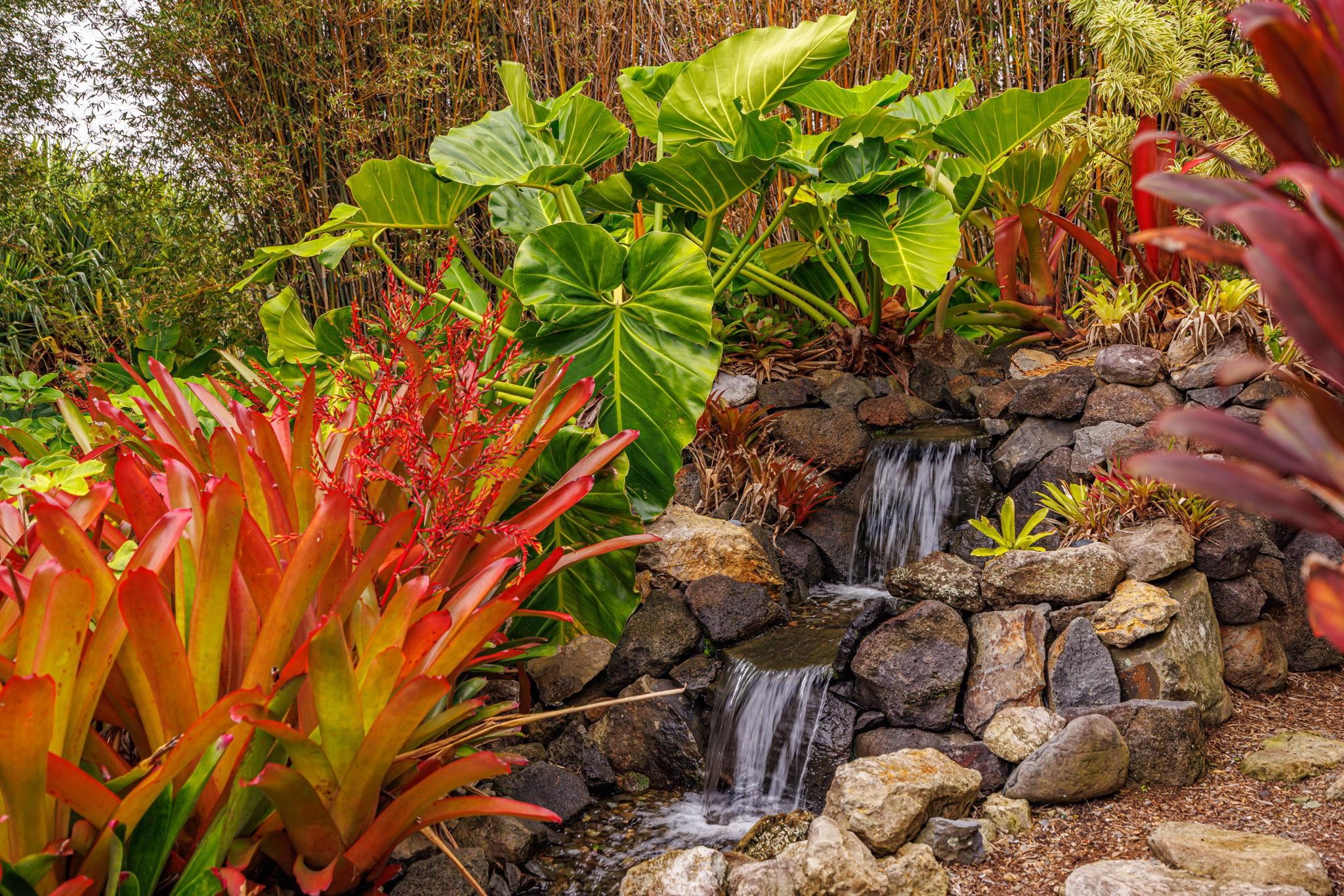 39  Lahaole Pl Kahakuloa, Wailuku home - photo 46 of 50