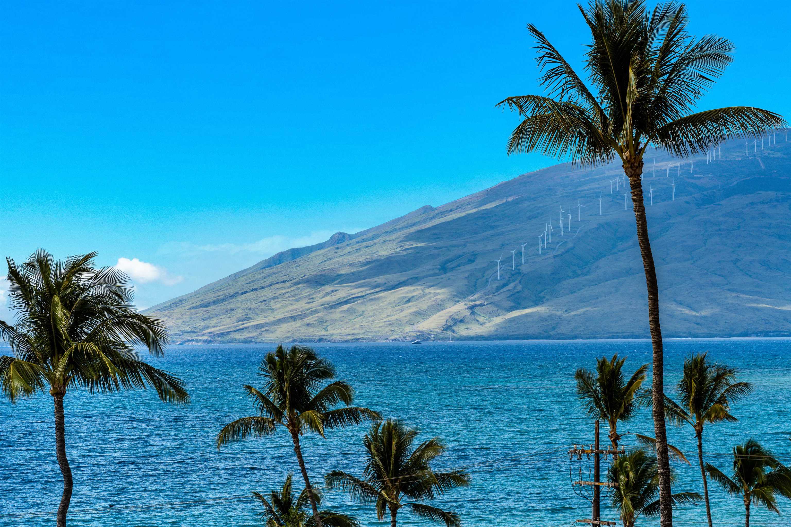 390  Auhana Rd , Kihei home - photo 36 of 36