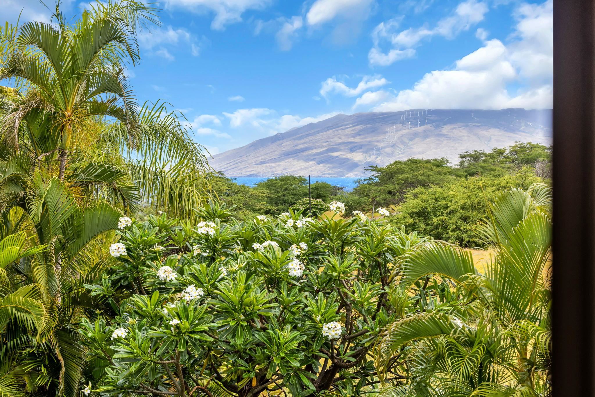 390  Pualoa Nani Pl Wailea, Wailea/Makena home - photo 25 of 50