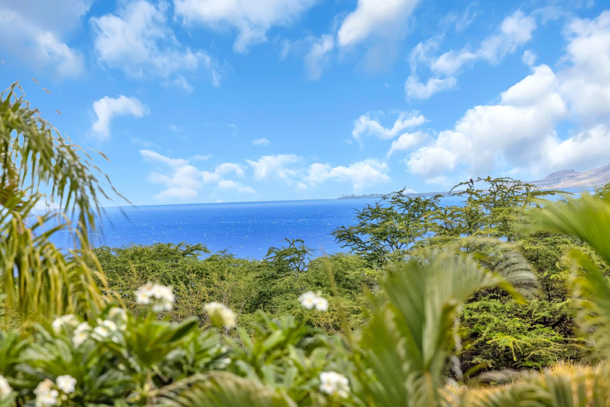 390  Pualoa Nani Pl Wailea, Wailea/Makena home - photo 26 of 50