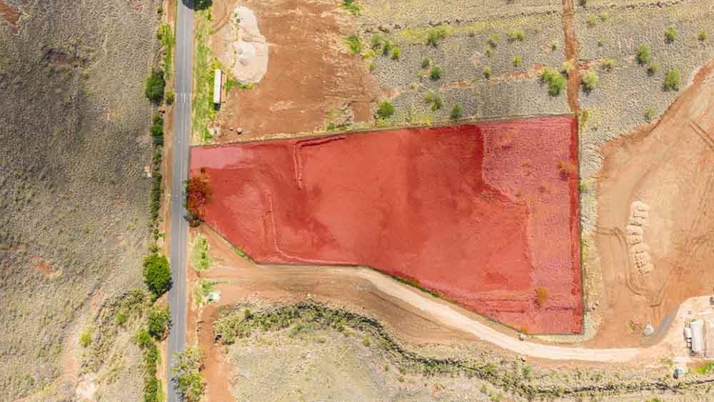 391  Haniu St Launiupoko, Lahaina home - photo 5 of 13