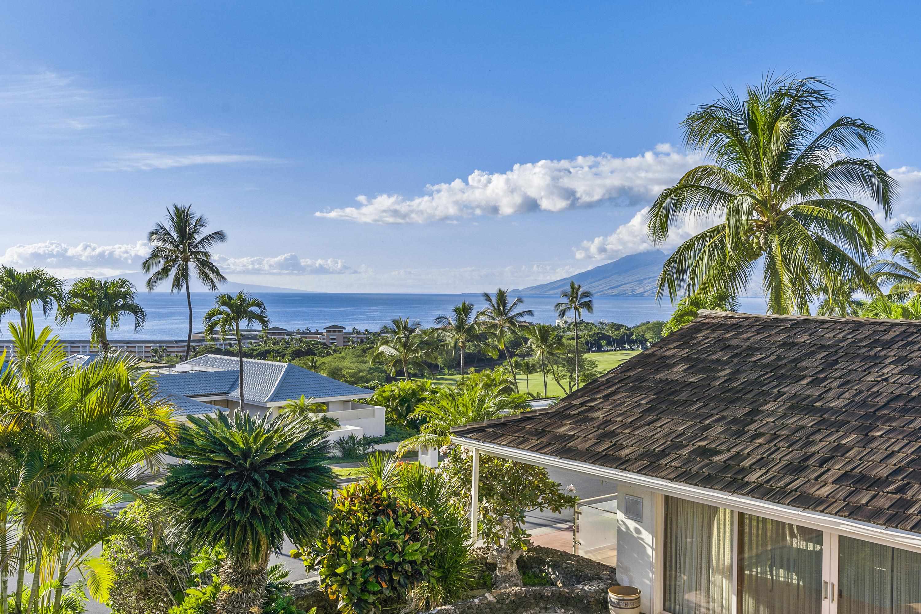 3919  Waakaula Pl Wailea, Wailea/Makena home - photo 11 of 35