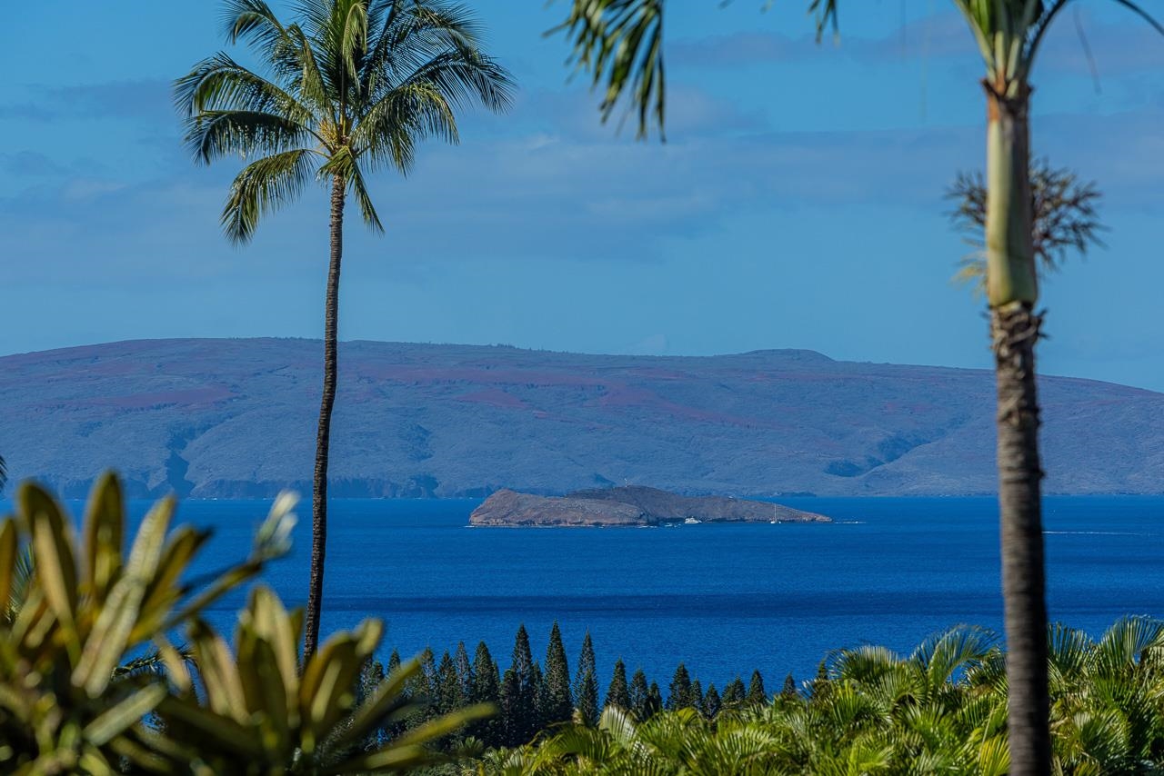 3943  Wailea Ekolu Pl Wailea, Wailea/Makena home - photo 2 of 45