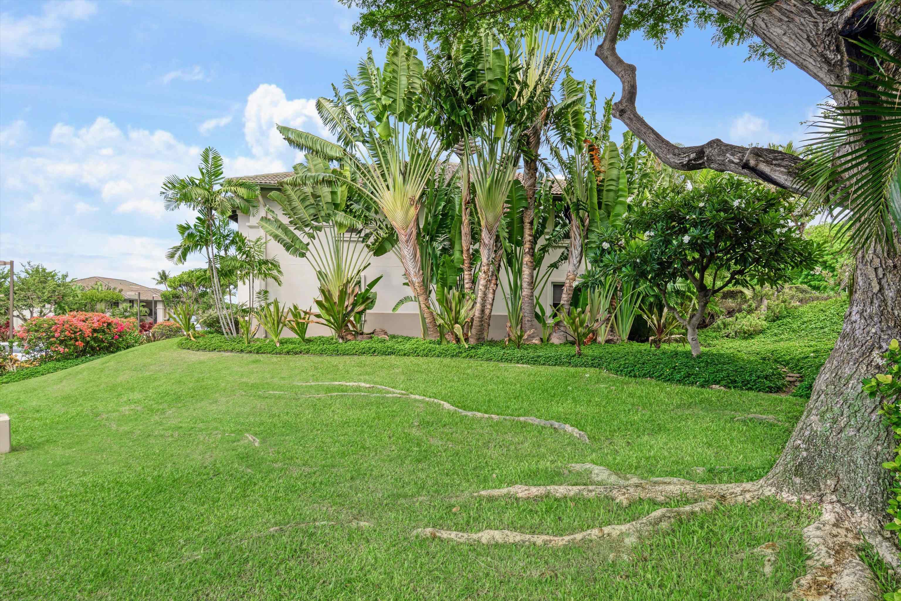 Wailea Fairway Villas condo # A 101, Kihei, Hawaii - photo 41 of 50