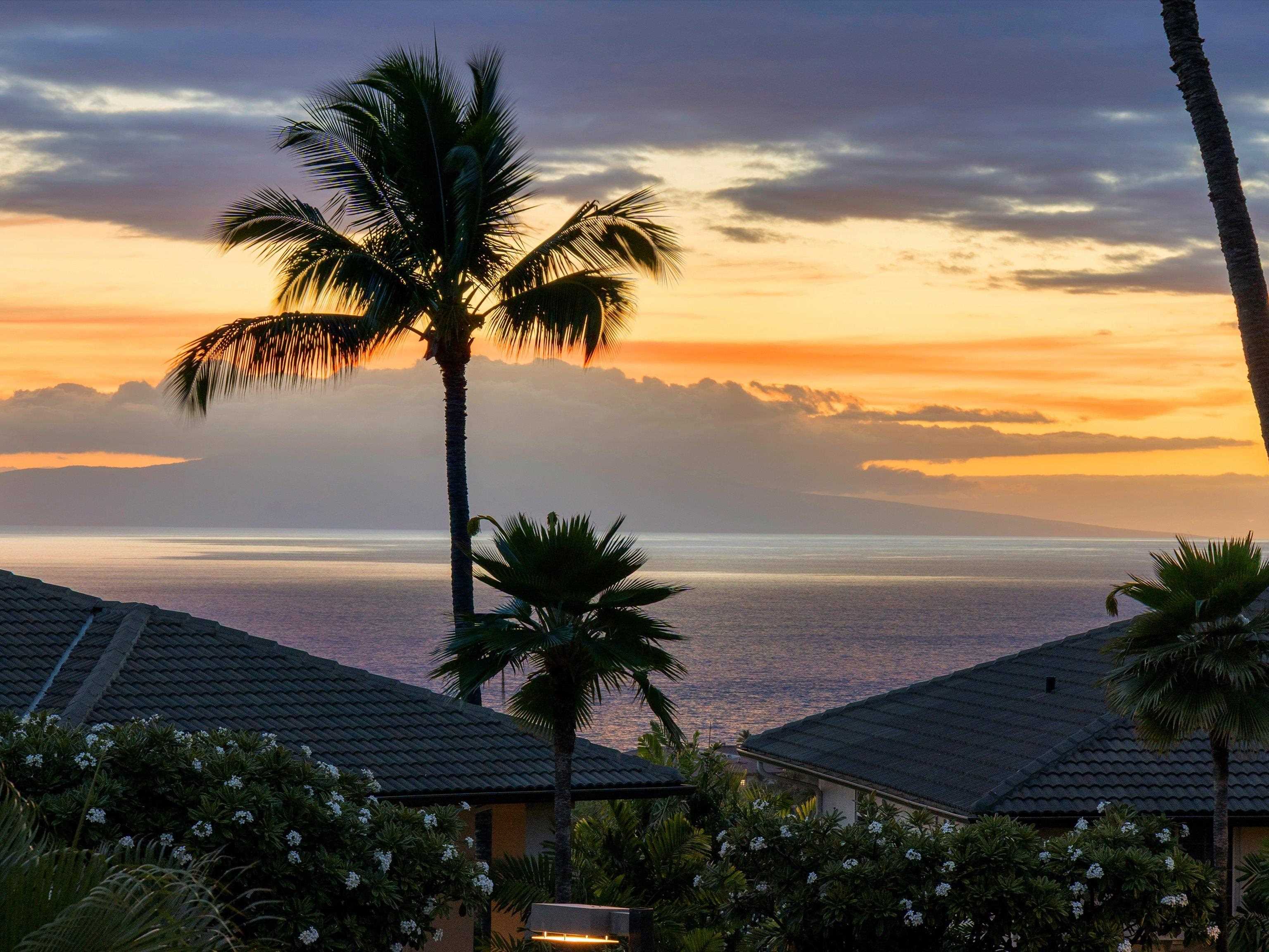 Wailea Fairway Villas condo # C202, Kihei, Hawaii - photo 33 of 33