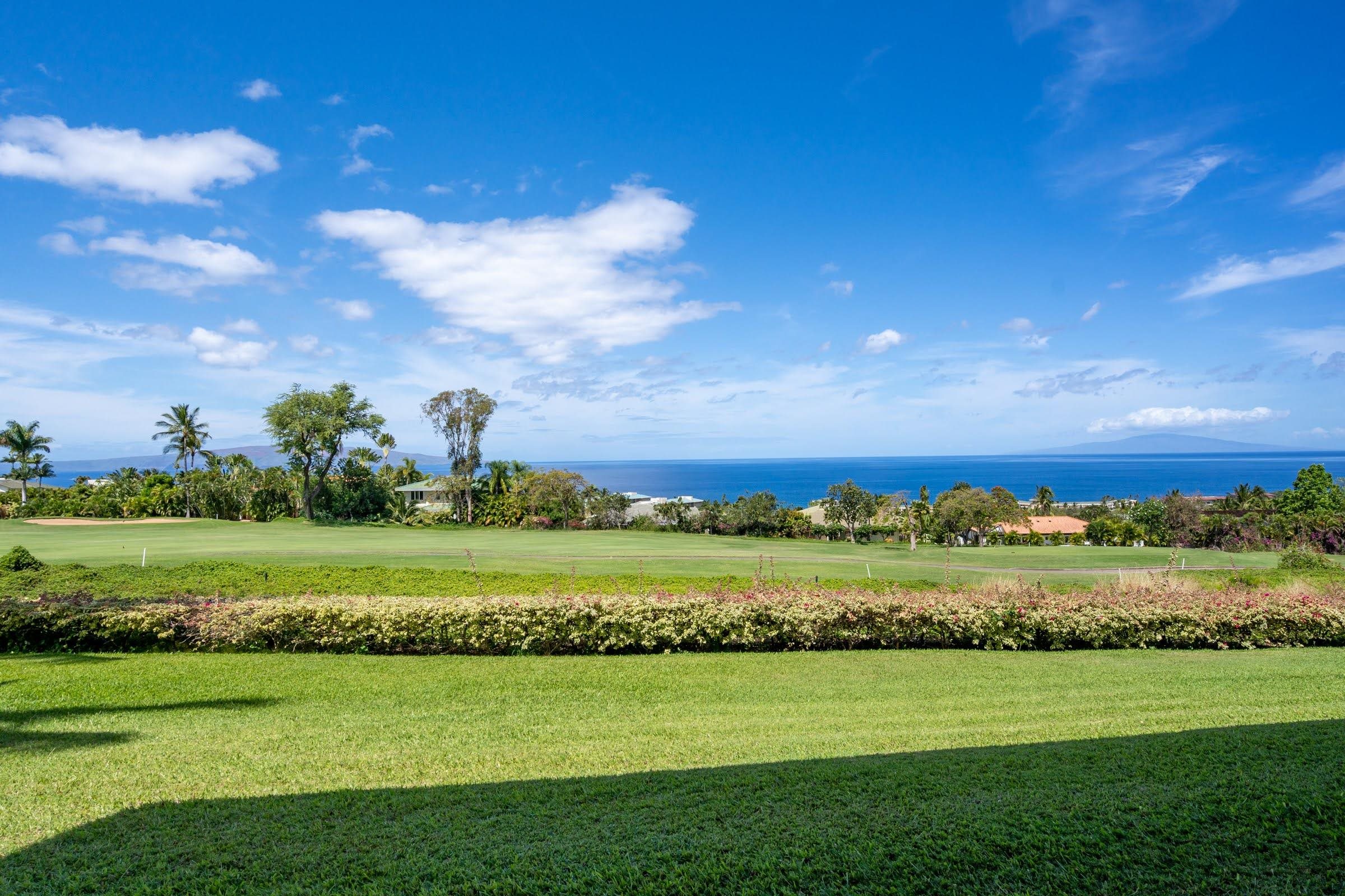 Wailea Fairway Villas condo # E-101, Kihei, Hawaii - photo 3 of 32