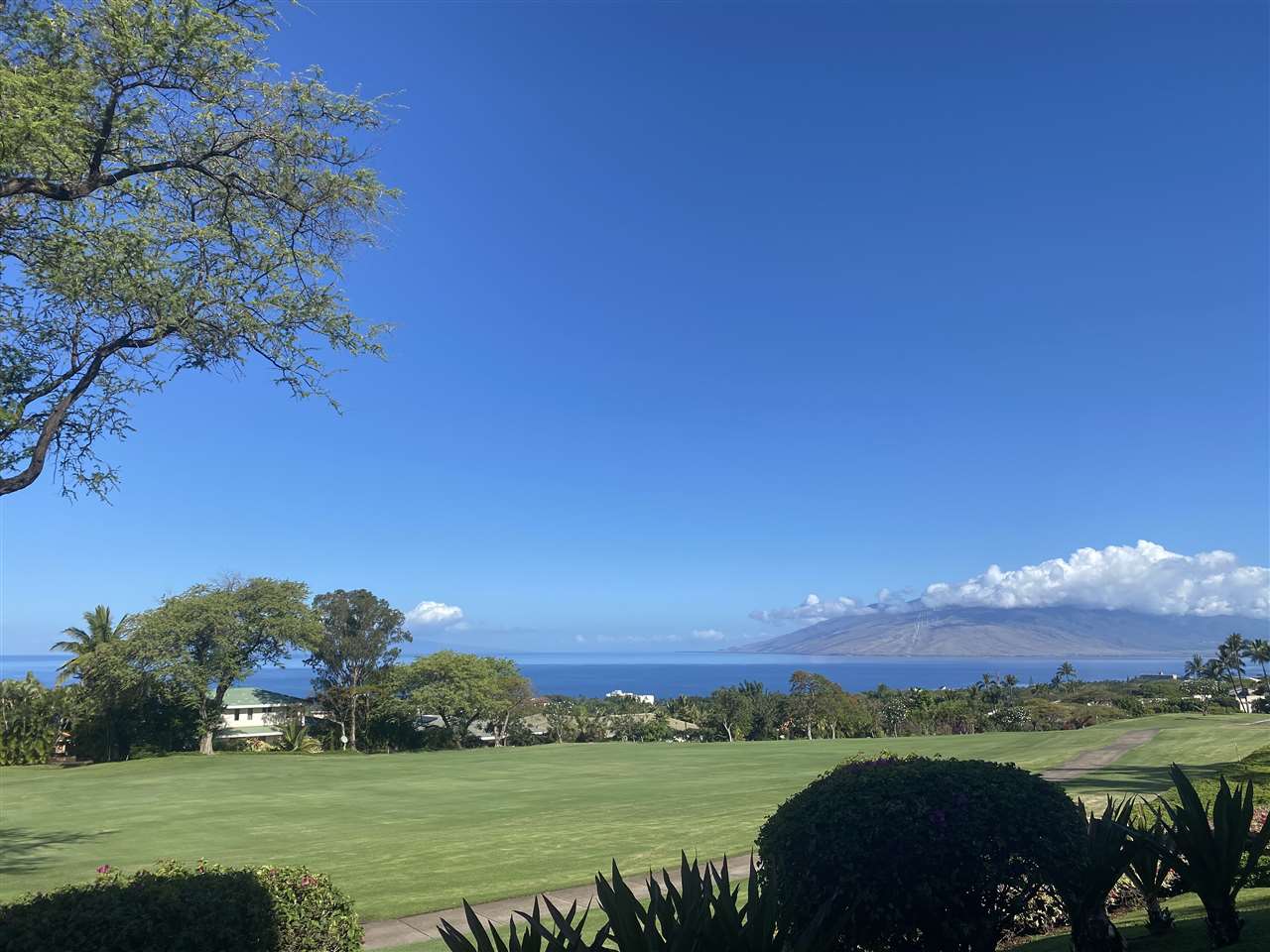 Wailea Fairway Villas condo # J-102, Kihei, Hawaii - photo 8 of 30