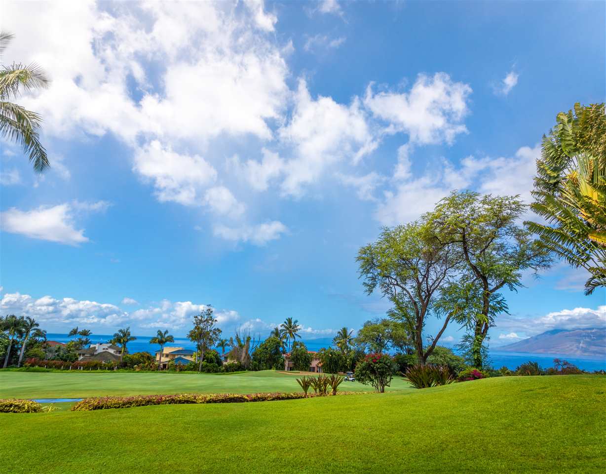 Wailea Fairway Villas condo # L-202, Kihei, Hawaii - photo 28 of 29