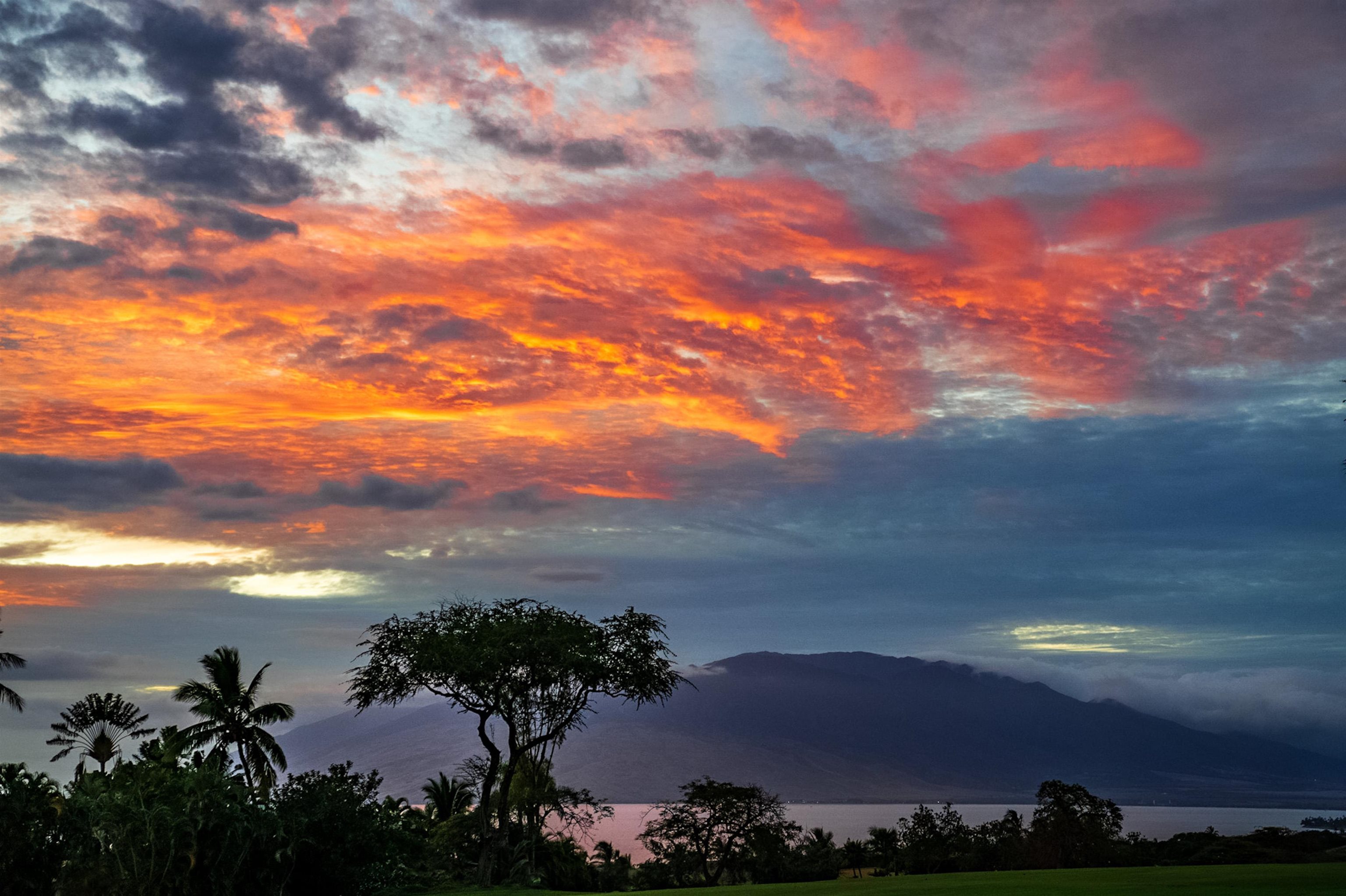 Wailea Fairway Villas condo # M101, Kihei, Hawaii - photo 29 of 30