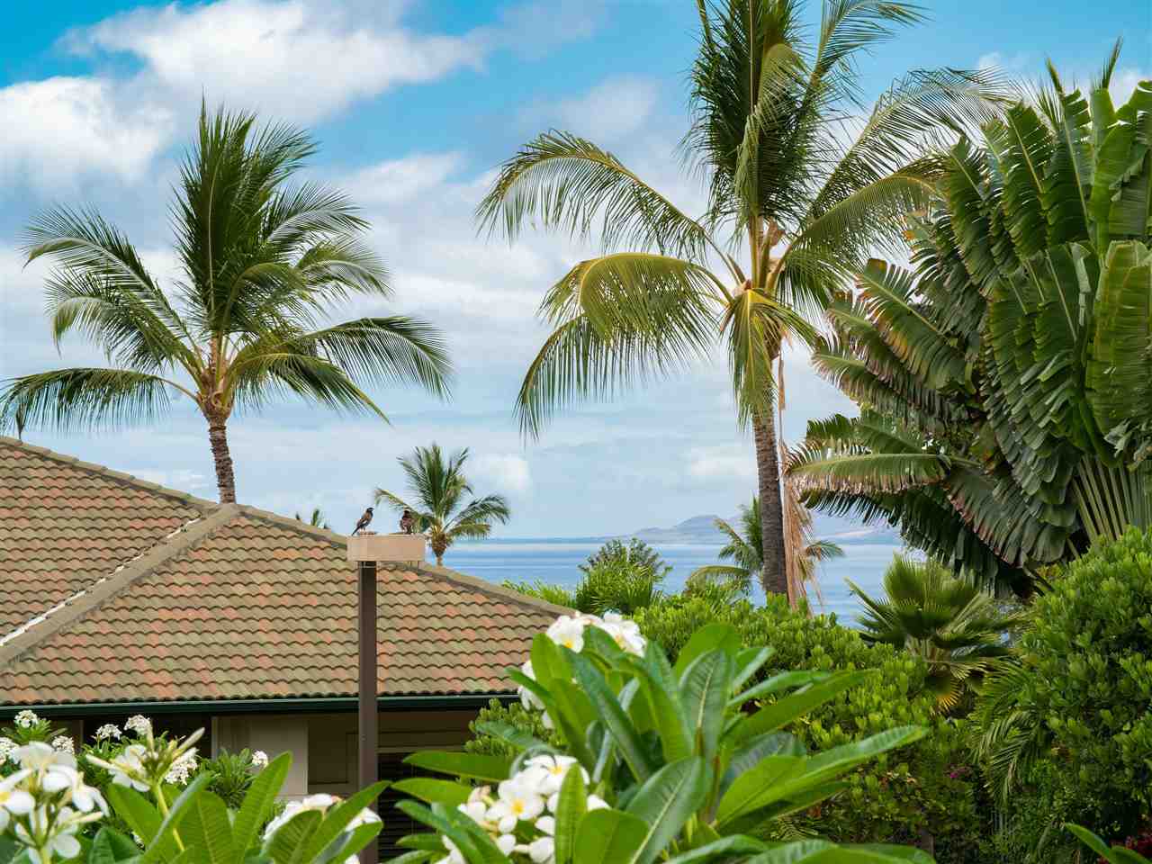 Wailea Fairway Villas condo # M202, Kihei, Hawaii - photo 16 of 30