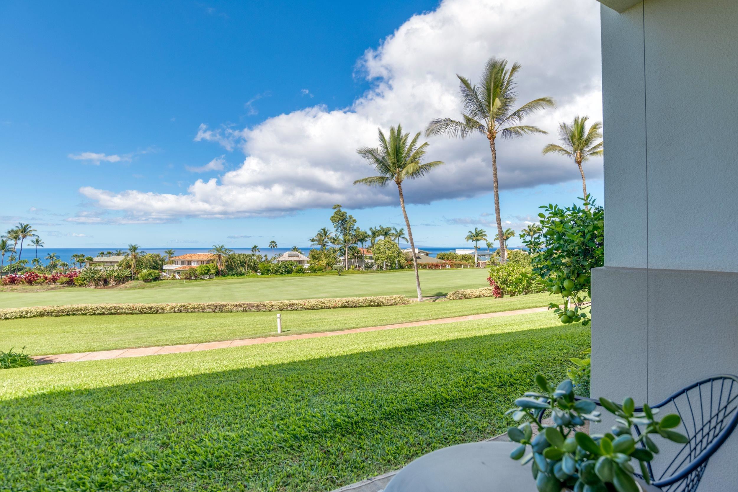 Wailea Fairway Villas condo # R102, Kihei, Hawaii - photo 16 of 29
