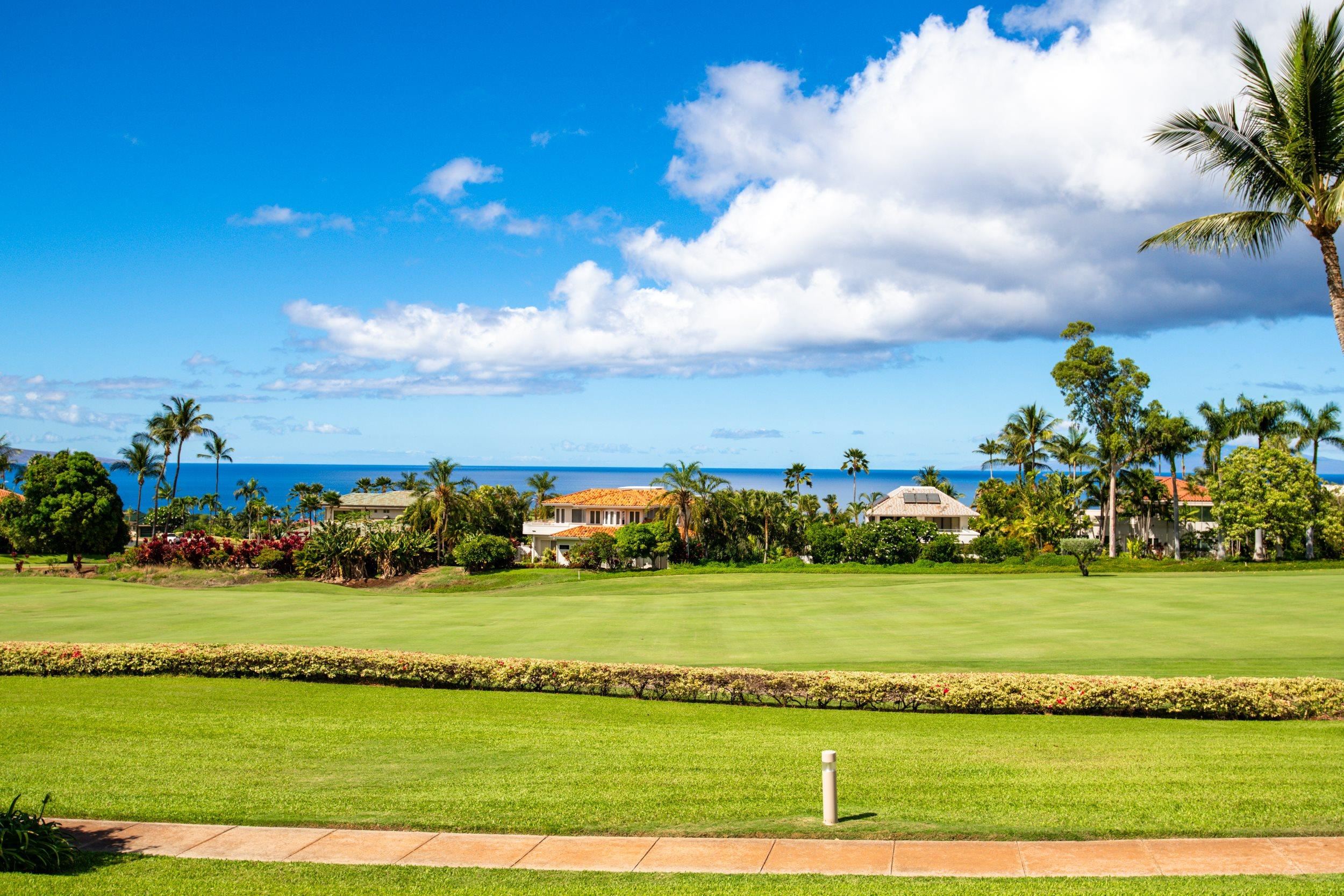 Wailea Fairway Villas condo # R102, Kihei, Hawaii - photo 18 of 29