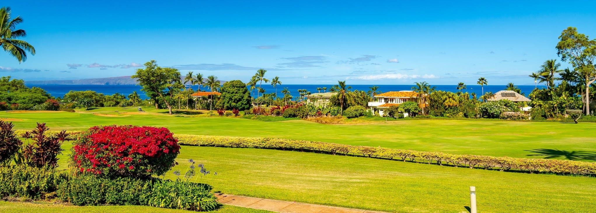 Wailea Fairway Villas condo # R102, Kihei, Hawaii - photo 2 of 23