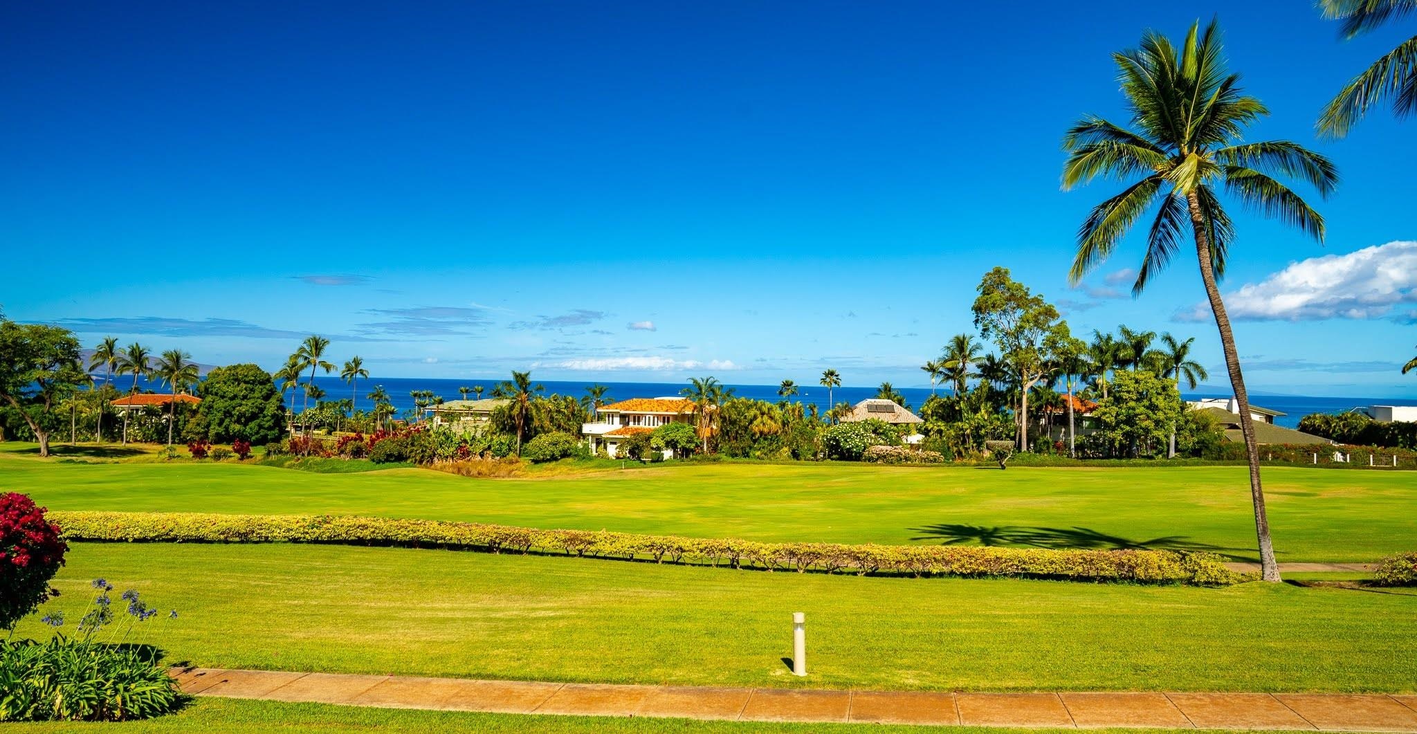 Wailea Fairway Villas condo # R102, Kihei, Hawaii - photo 3 of 23