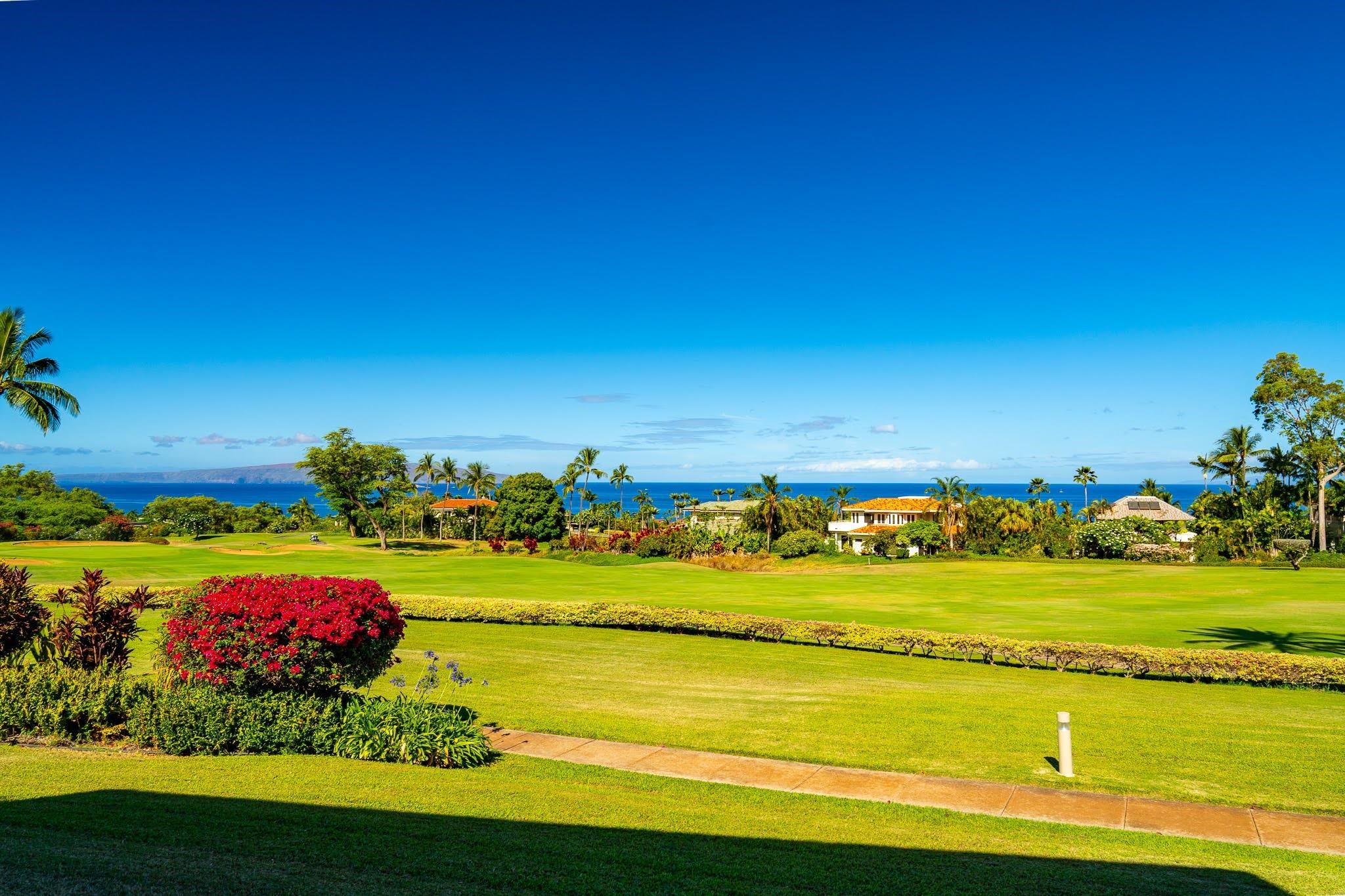 Wailea Fairway Villas condo # R102, Kihei, Hawaii - photo 4 of 23