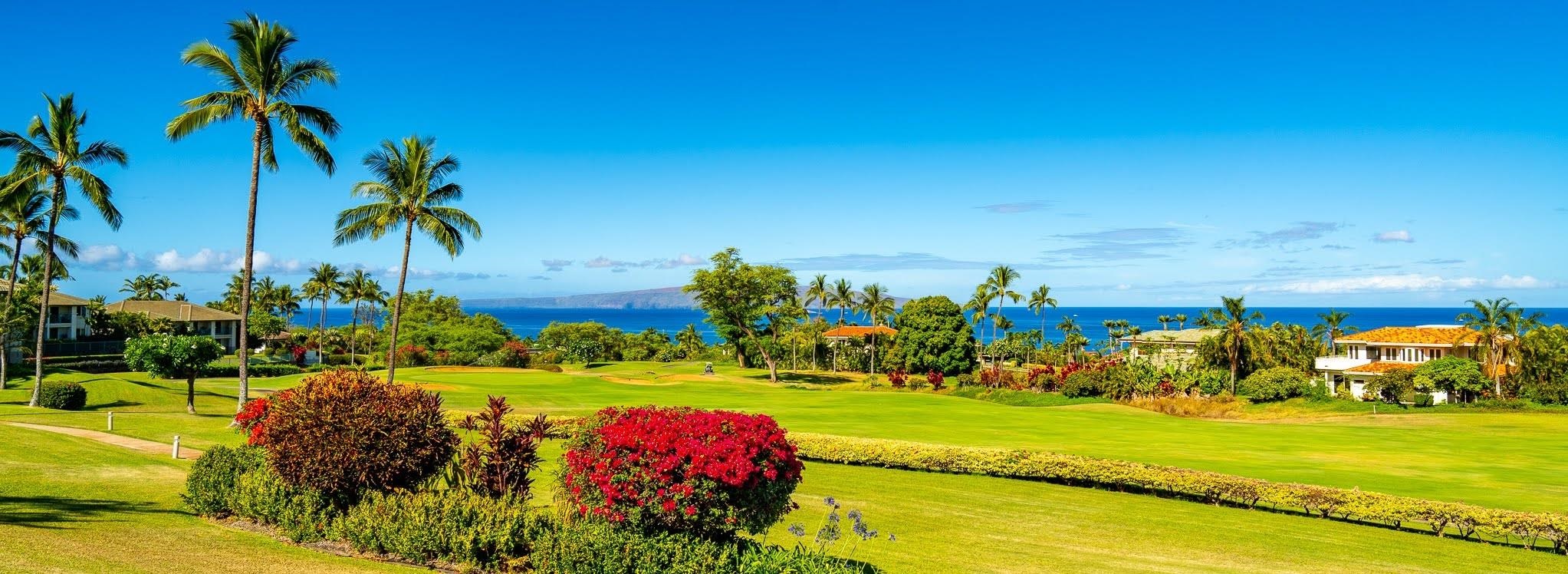Wailea Fairway Villas condo # R102, Kihei, Hawaii - photo 5 of 23