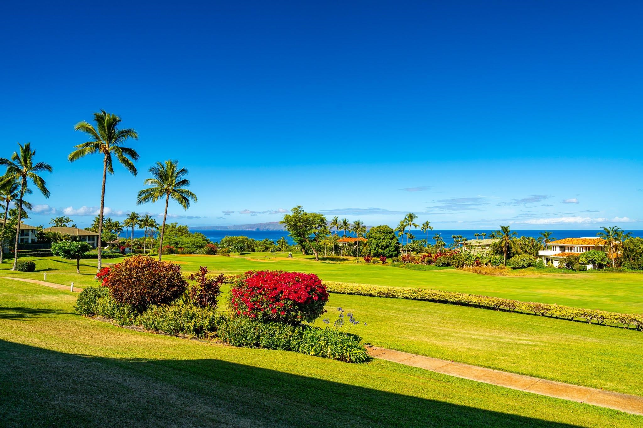Wailea Fairway Villas condo # R102, Kihei, Hawaii - photo 6 of 23
