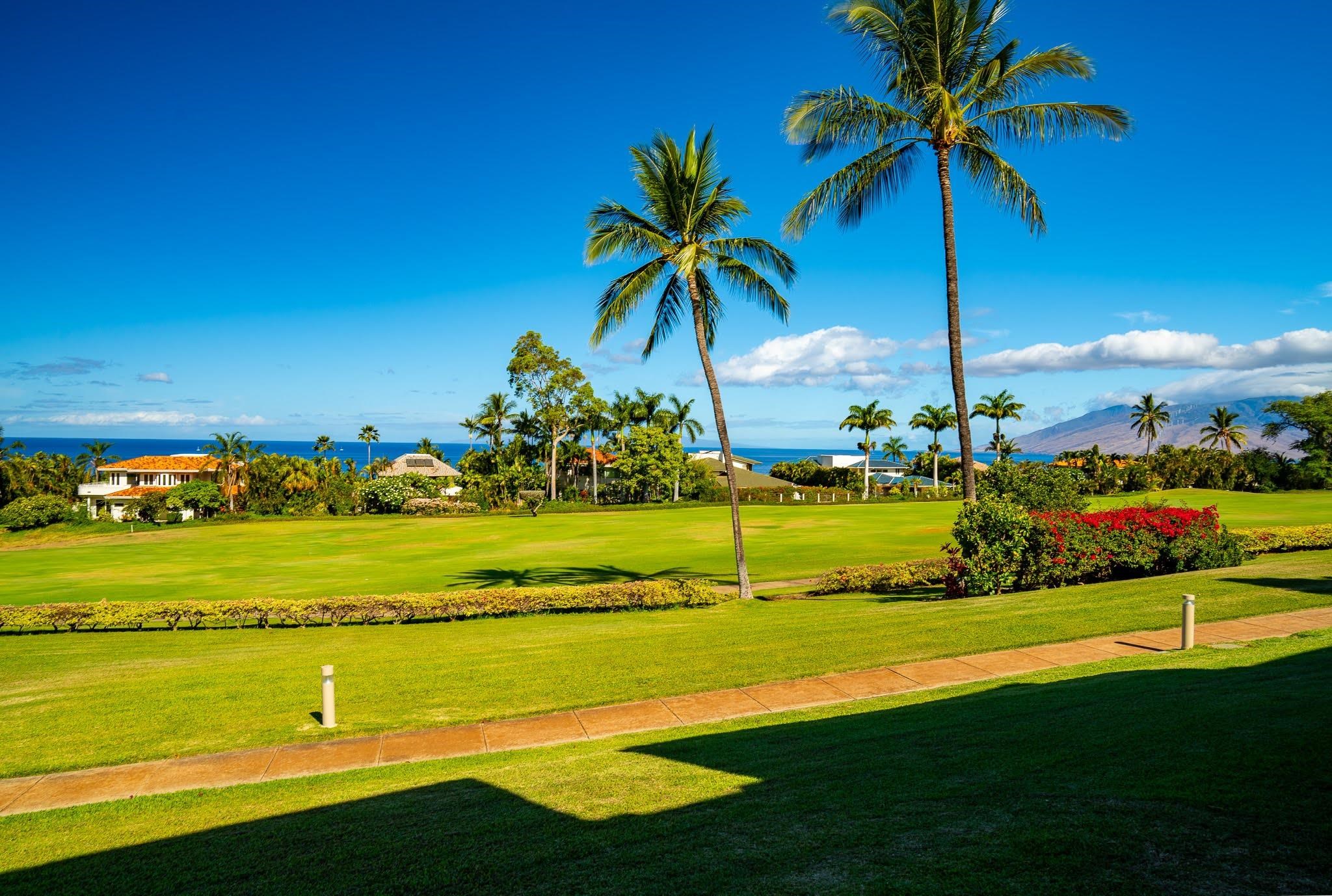 Wailea Fairway Villas condo # R102, Kihei, Hawaii - photo 7 of 23