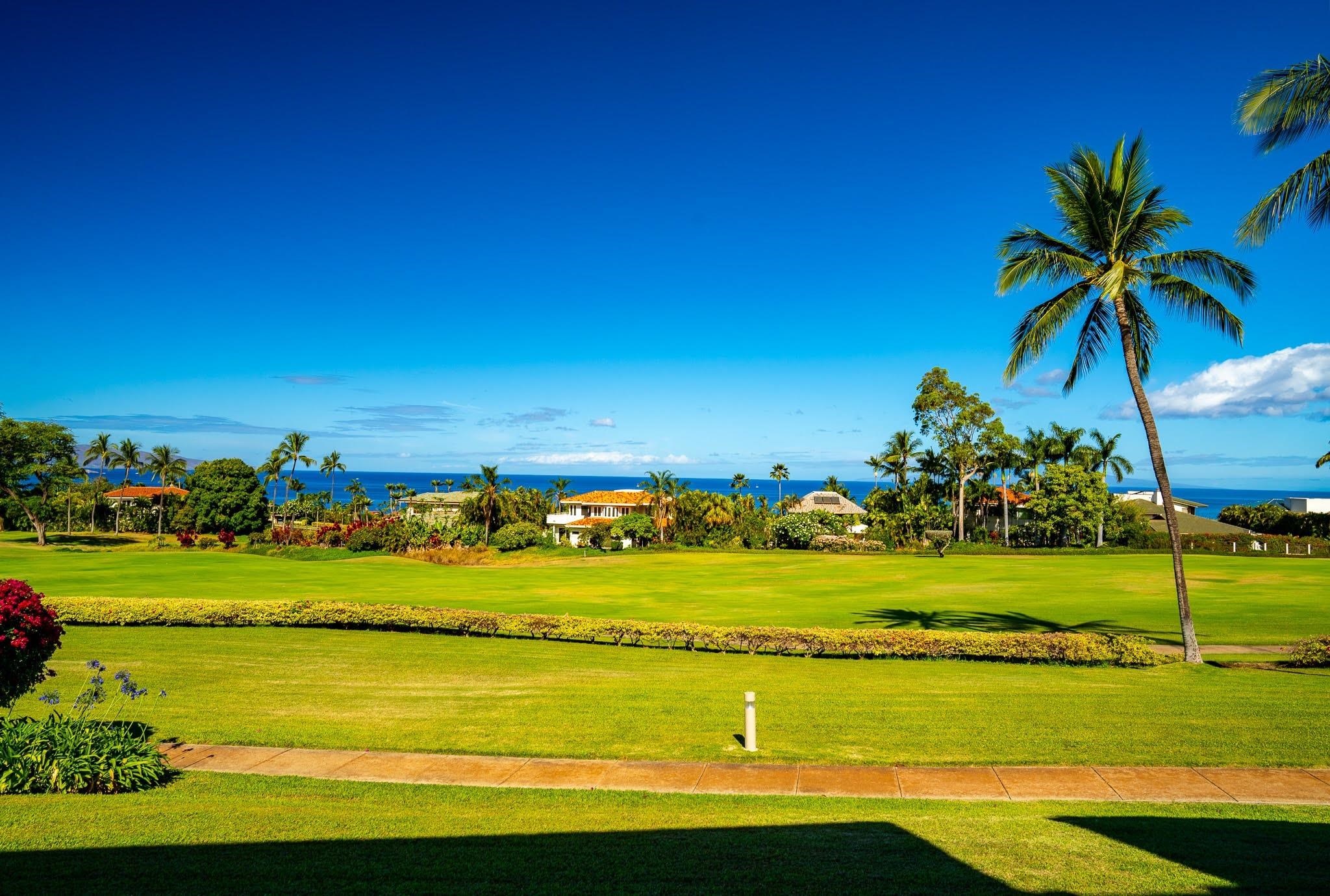 Wailea Fairway Villas condo # R102, Kihei, Hawaii - photo 8 of 23
