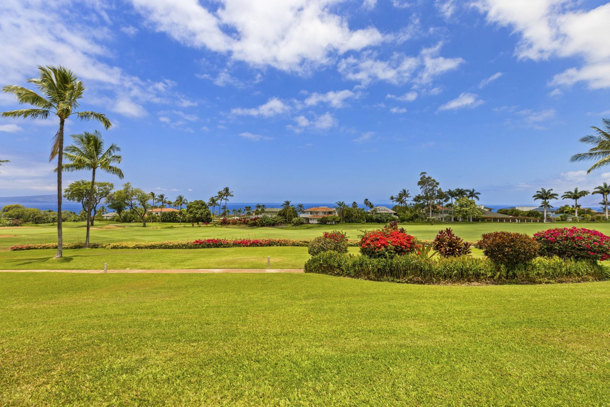 Wailea Fairway Villas condo # S103, Kihei, Hawaii - photo 43 of 45