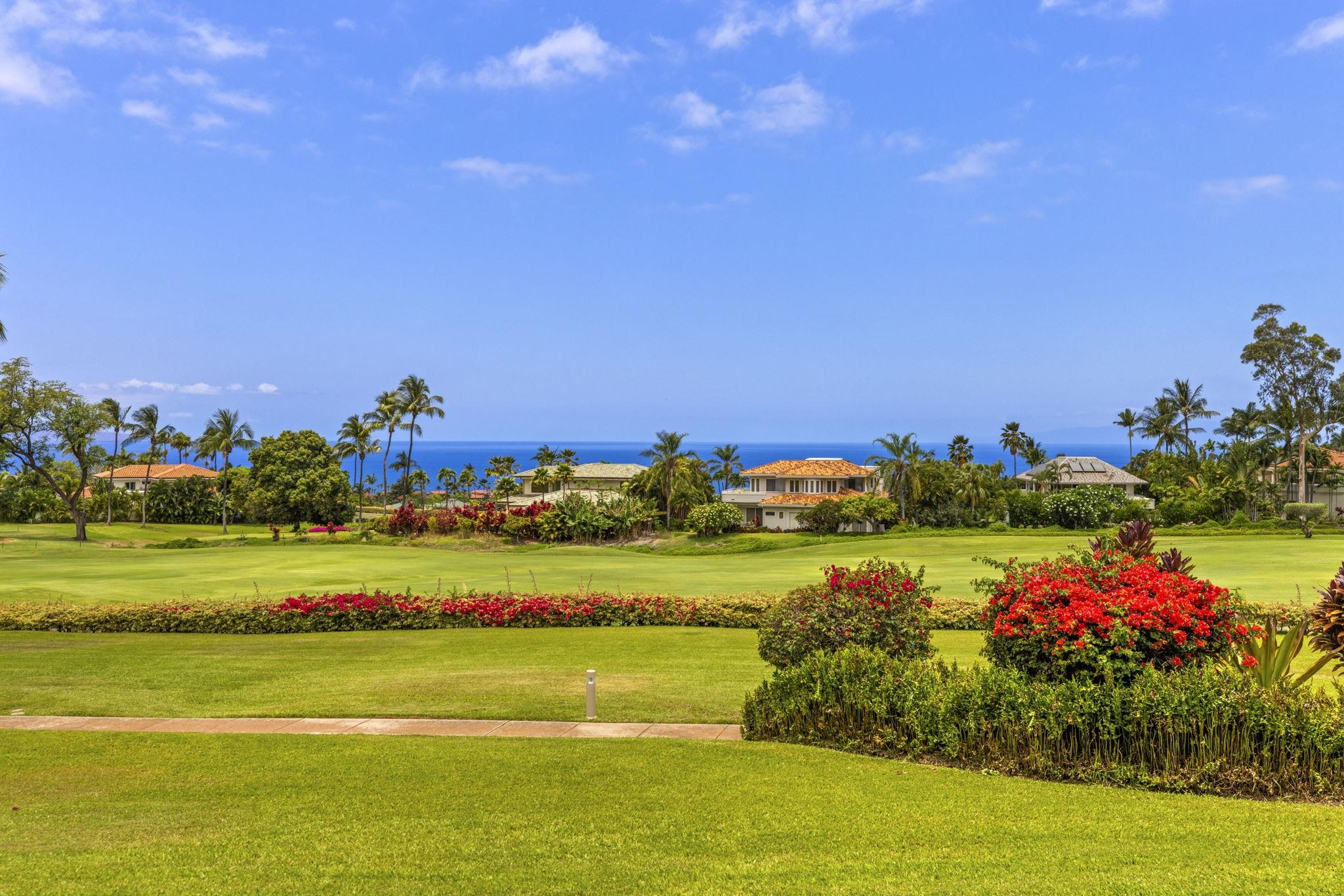 Wailea Fairway Villas condo # S103, Kihei, Hawaii - photo 44 of 45