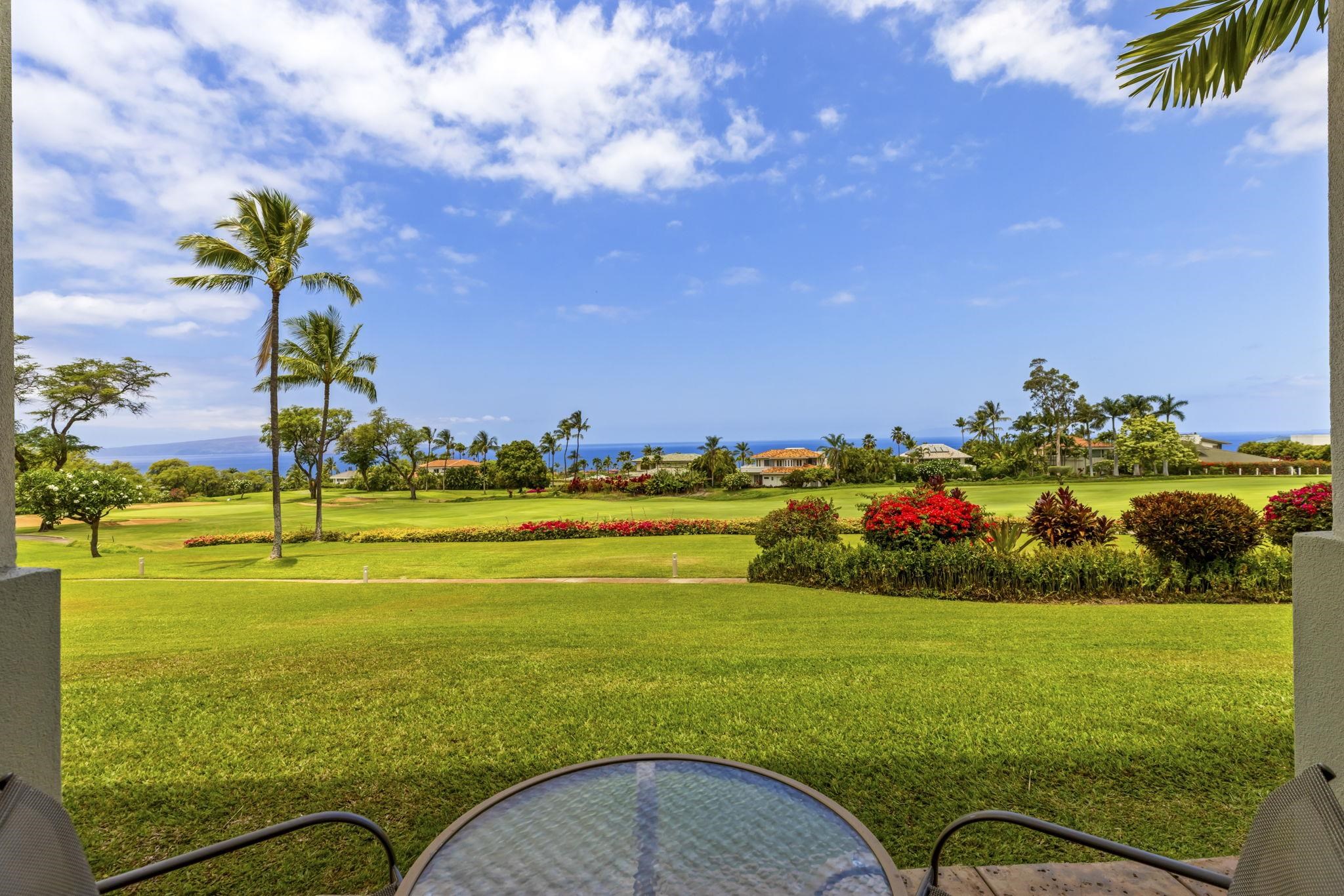 Wailea Fairway Villas condo # S103, Kihei, Hawaii - photo 45 of 45