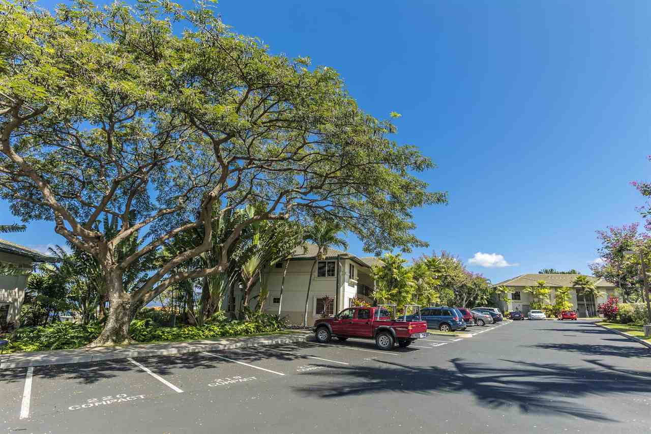 Wailea Fairway Villas condo # X202, Kihei, Hawaii - photo 24 of 25