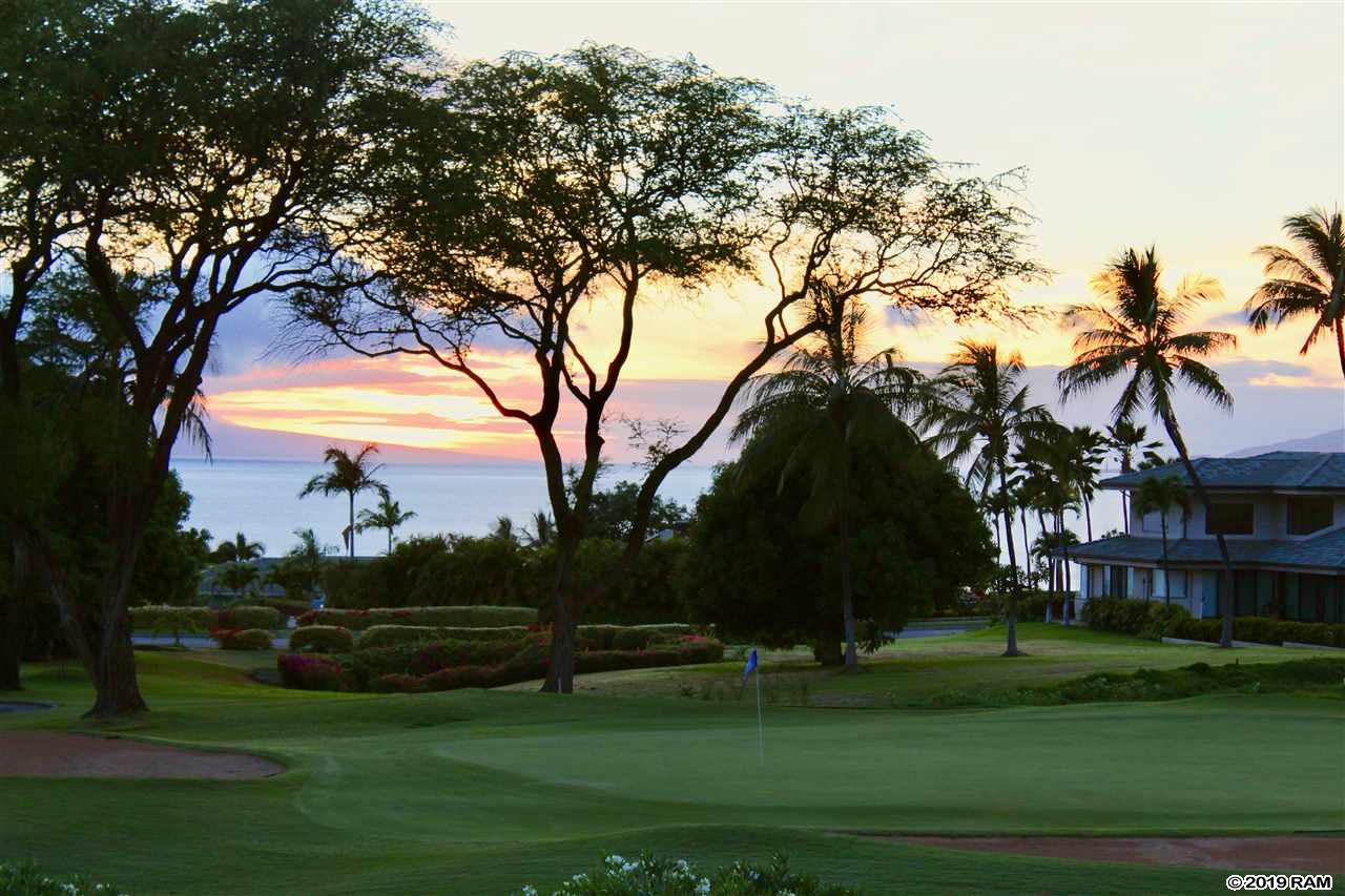 Wailea Fairway Villas condo # Y103, Kihei, Hawaii - photo 29 of 30