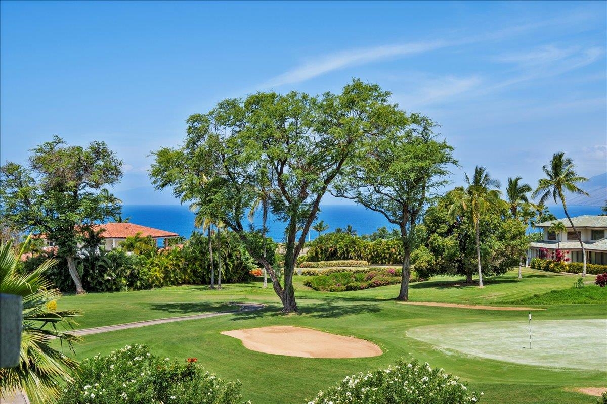 Wailea Fairway Villas condo # Y-202, Kihei, Hawaii - photo 11 of 44