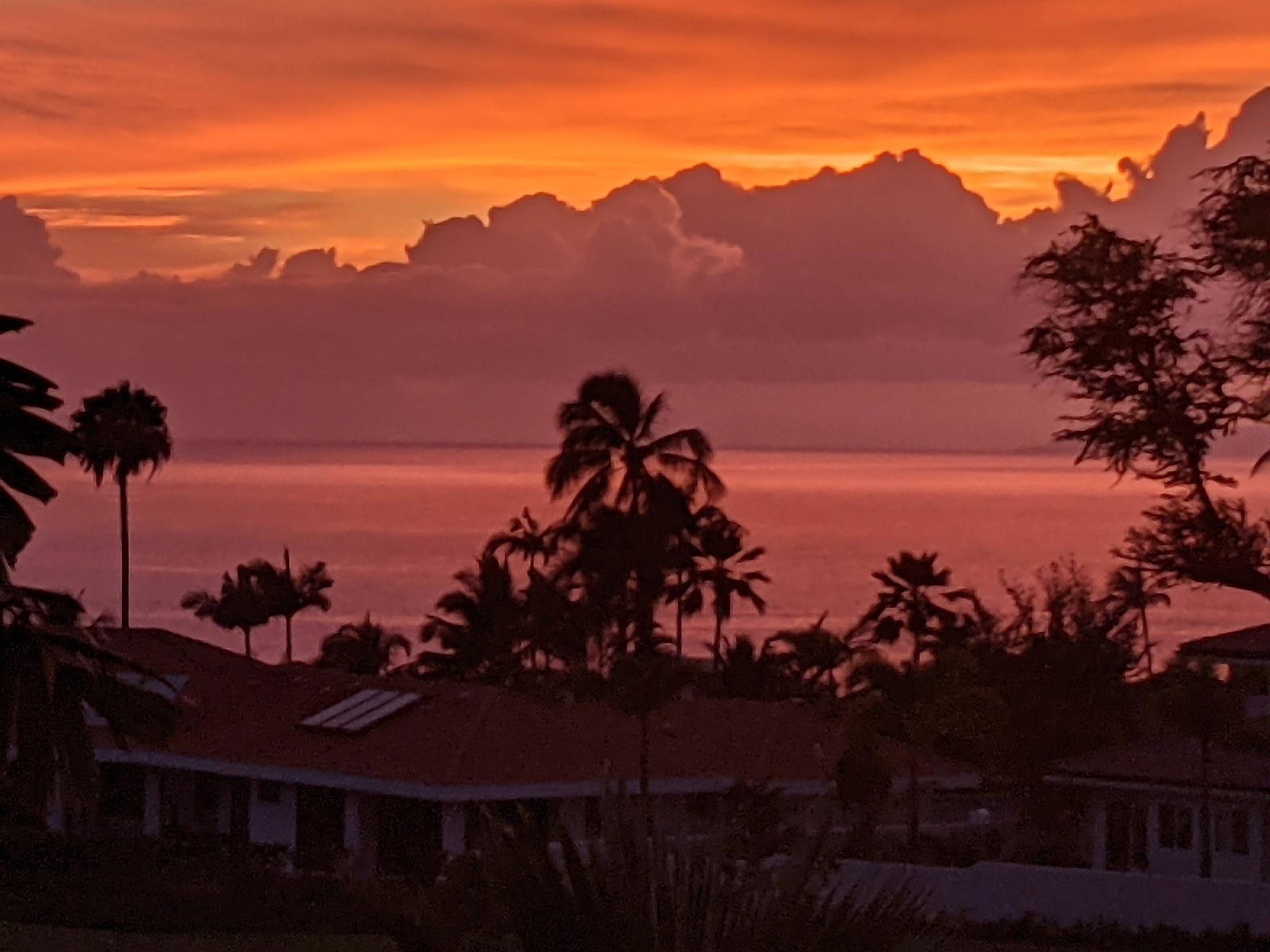 Wailea Fairway Villas condo # Y-202, Kihei, Hawaii - photo 41 of 44